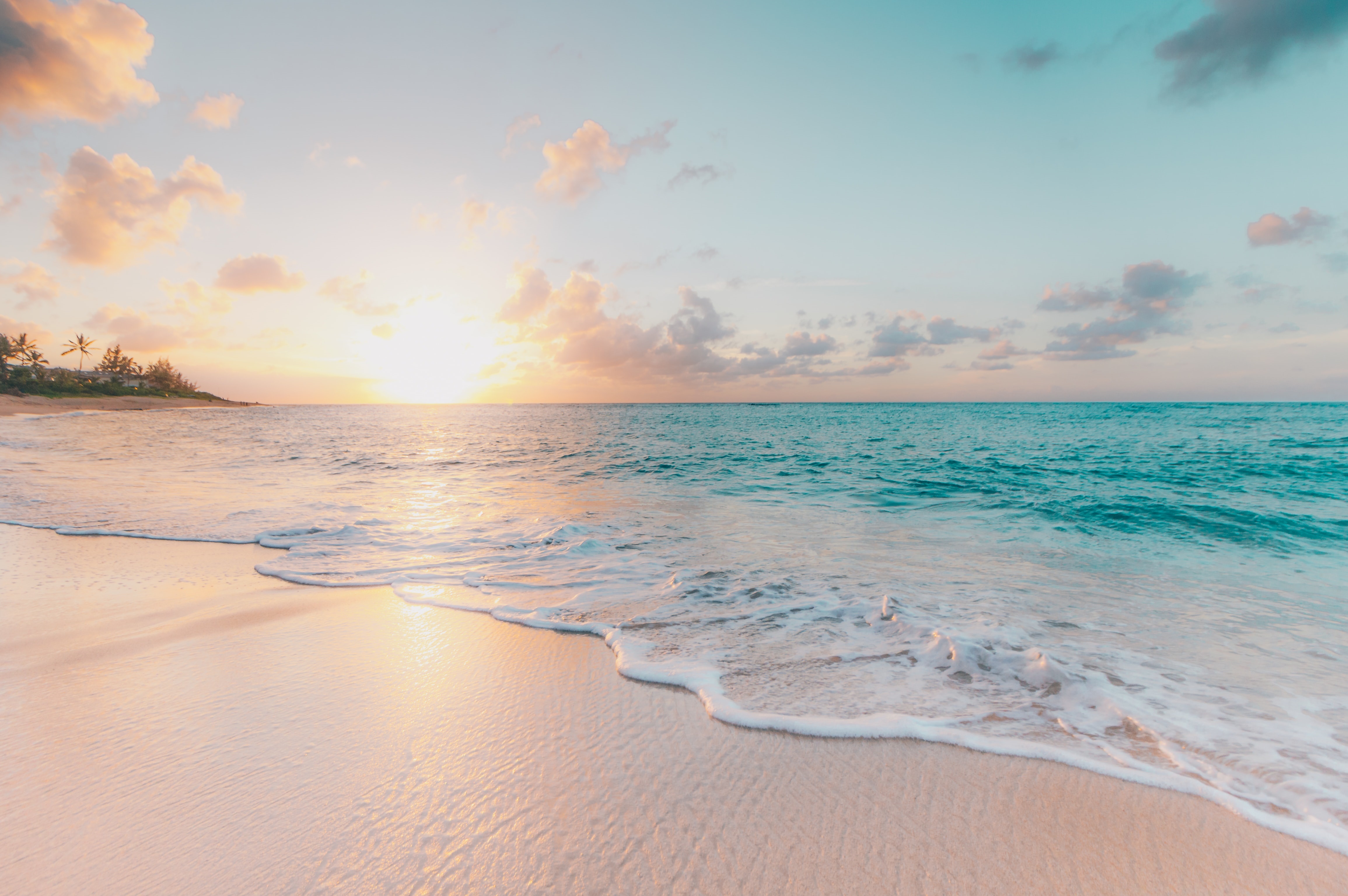 Beach at sunset with ocean waves and palm trees HD Wallpaper