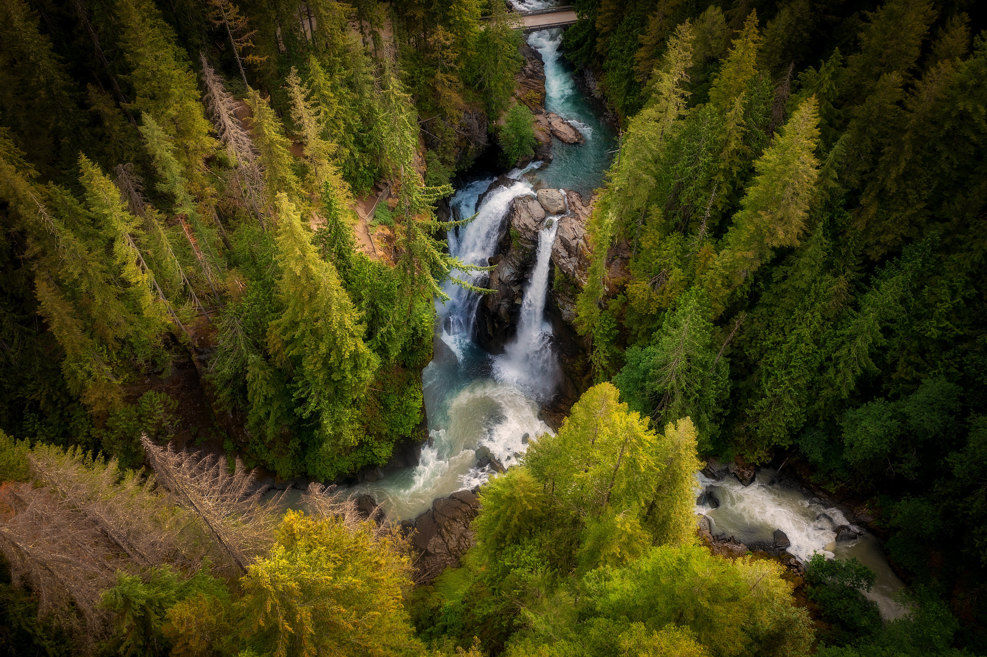Forest Waterfall and River with Bridge 4K HD Wallpaper
