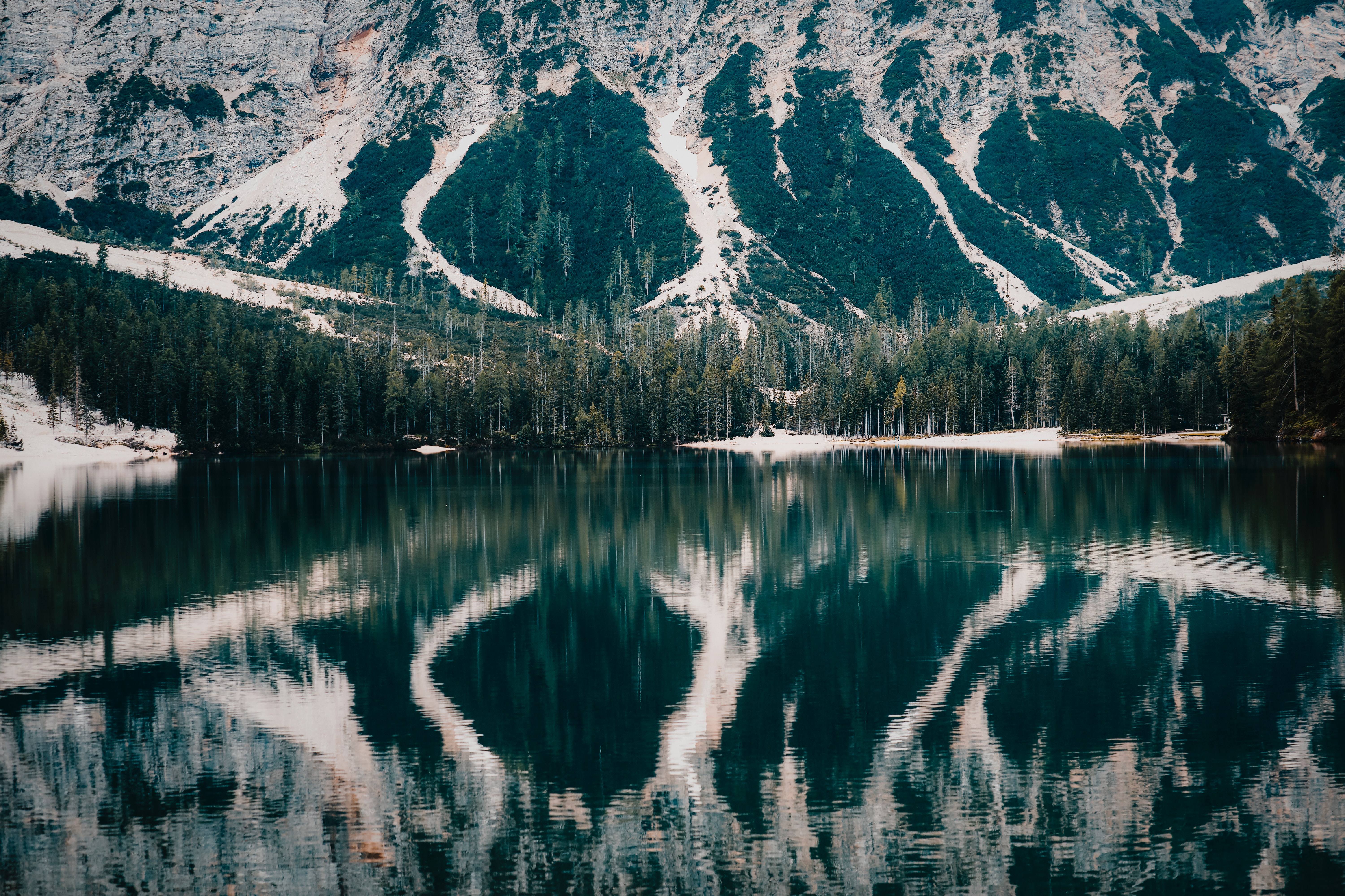 Calm lake reflecting snow-capped mountains and pine trees HD Wallpaper