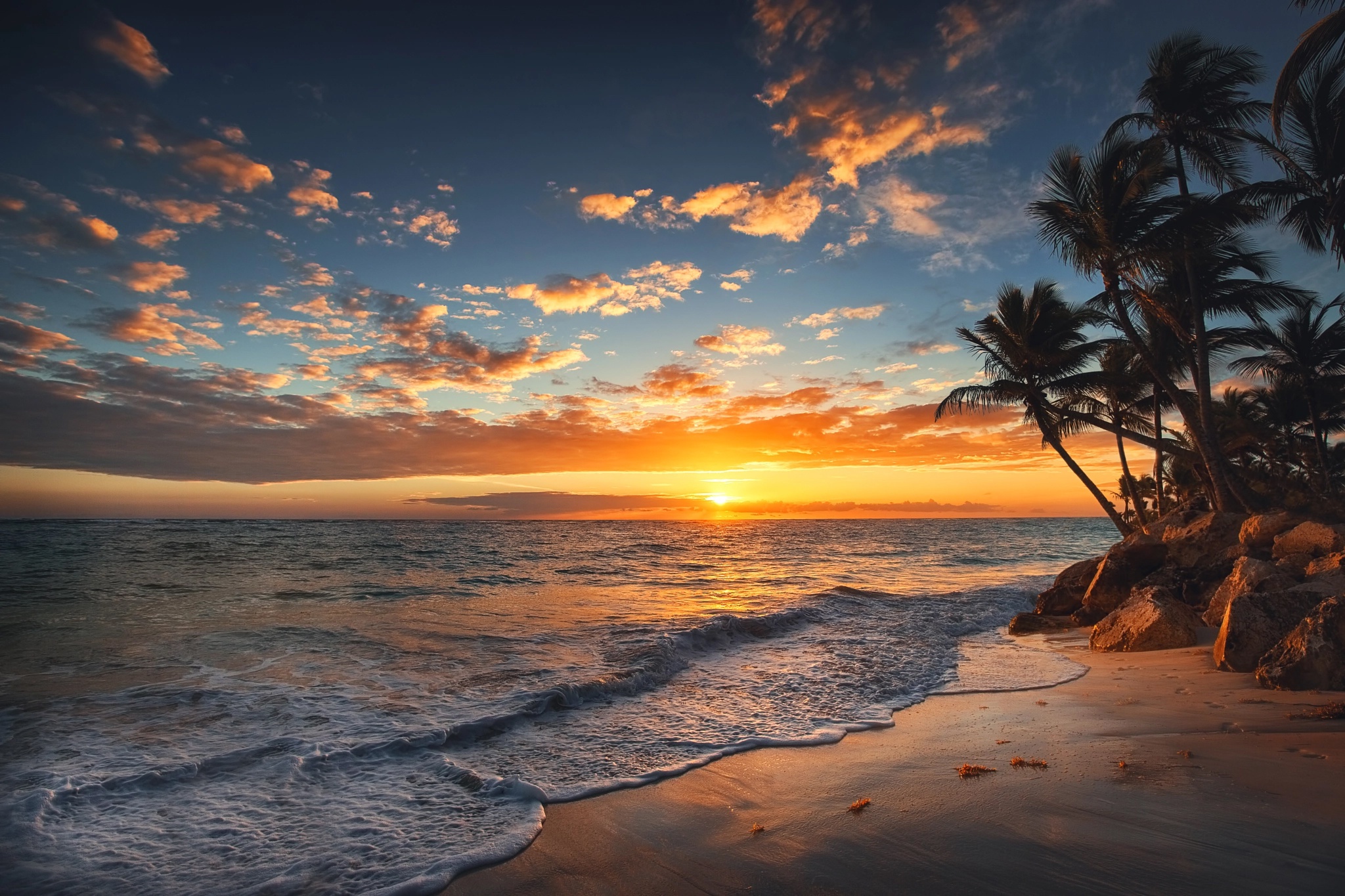 Golden Sunrise over Ocean Horizon with Palm Trees HD Wallpaper