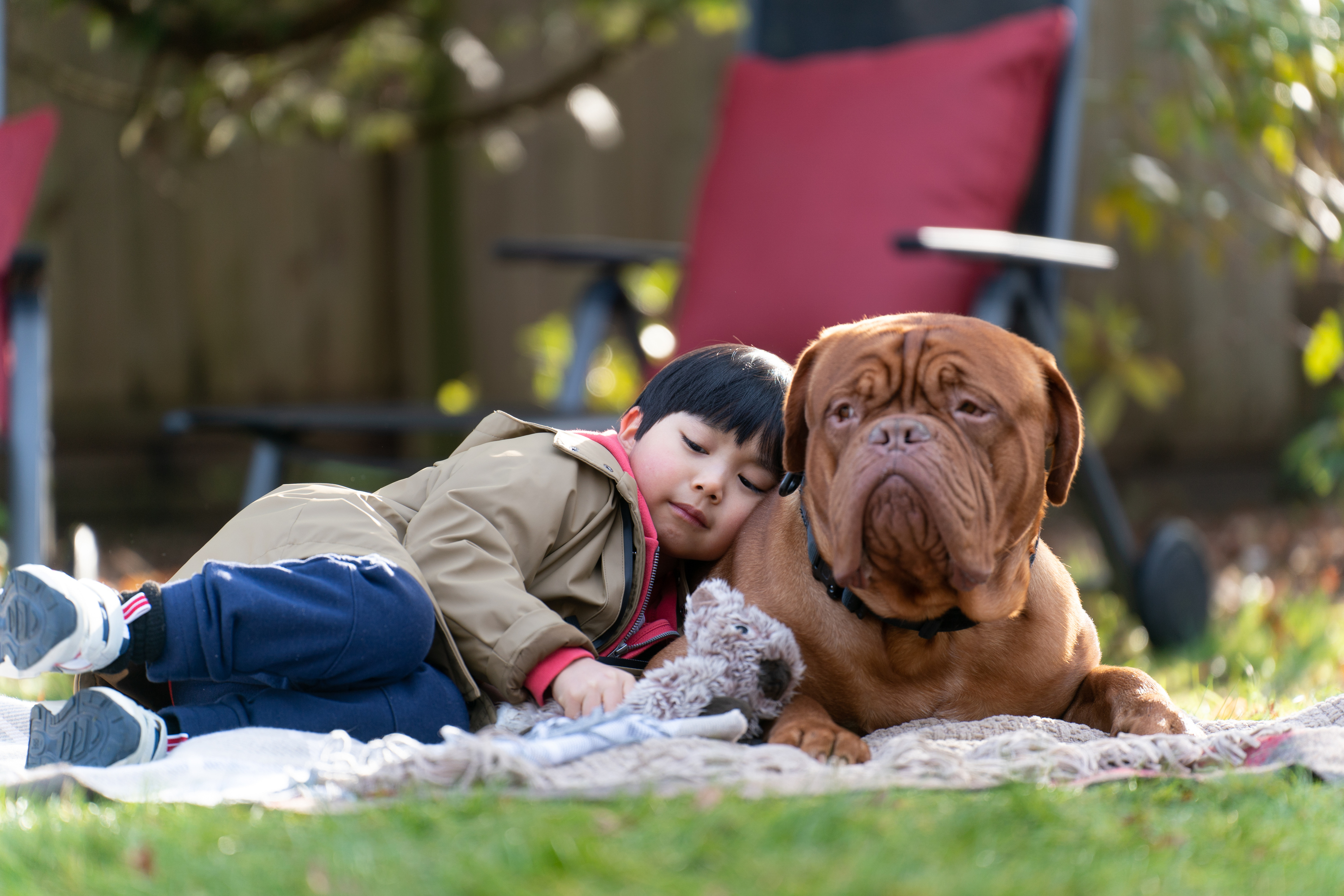 Turner and Hooch: Child and dog nap outdoors HD Wallpaper