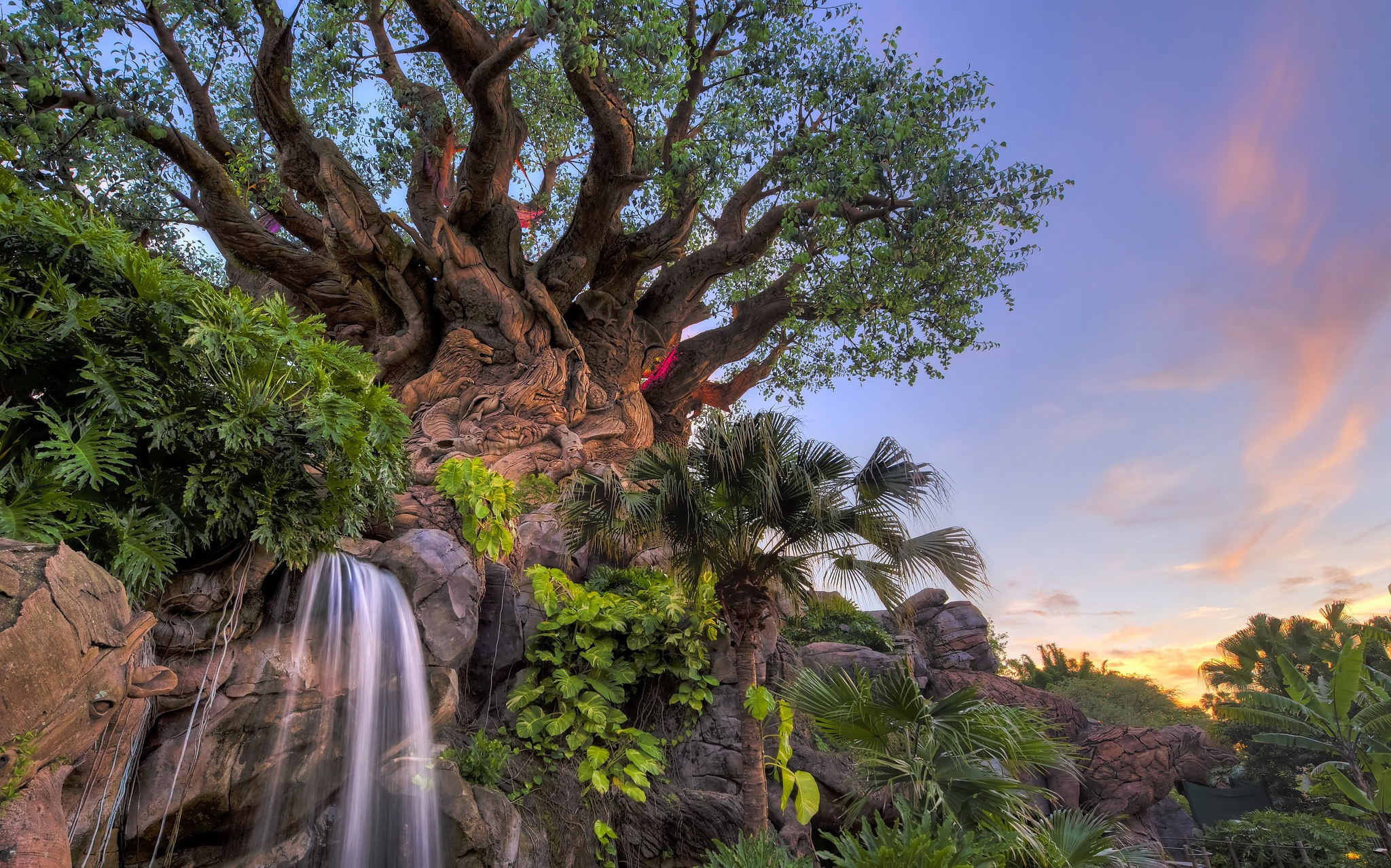 Majestic Tree of Life at Walt Disney Resort sunset HD Wallpaper