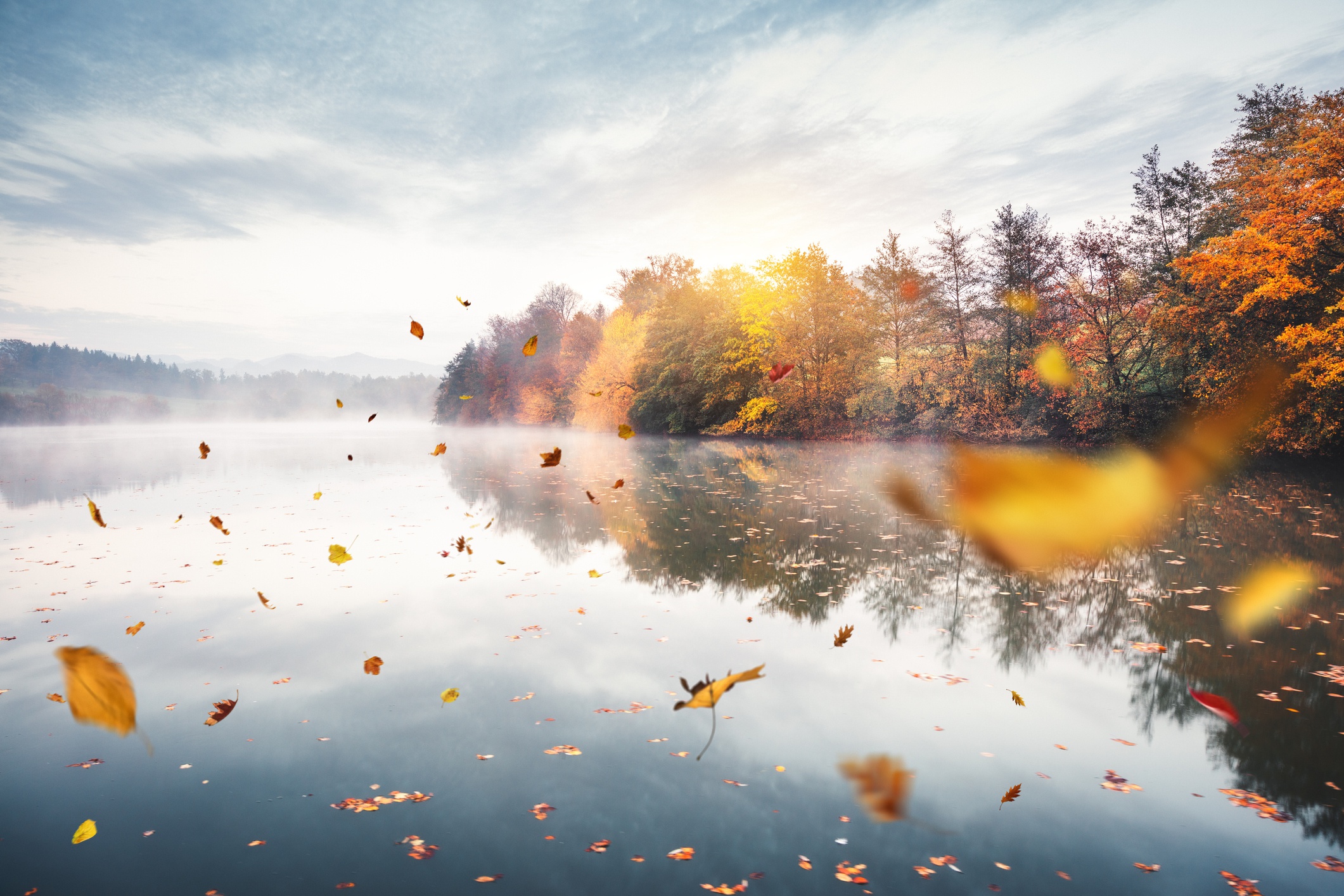 Misty Autumn Lake Reflection with Falling Leaves HD Wallpaper