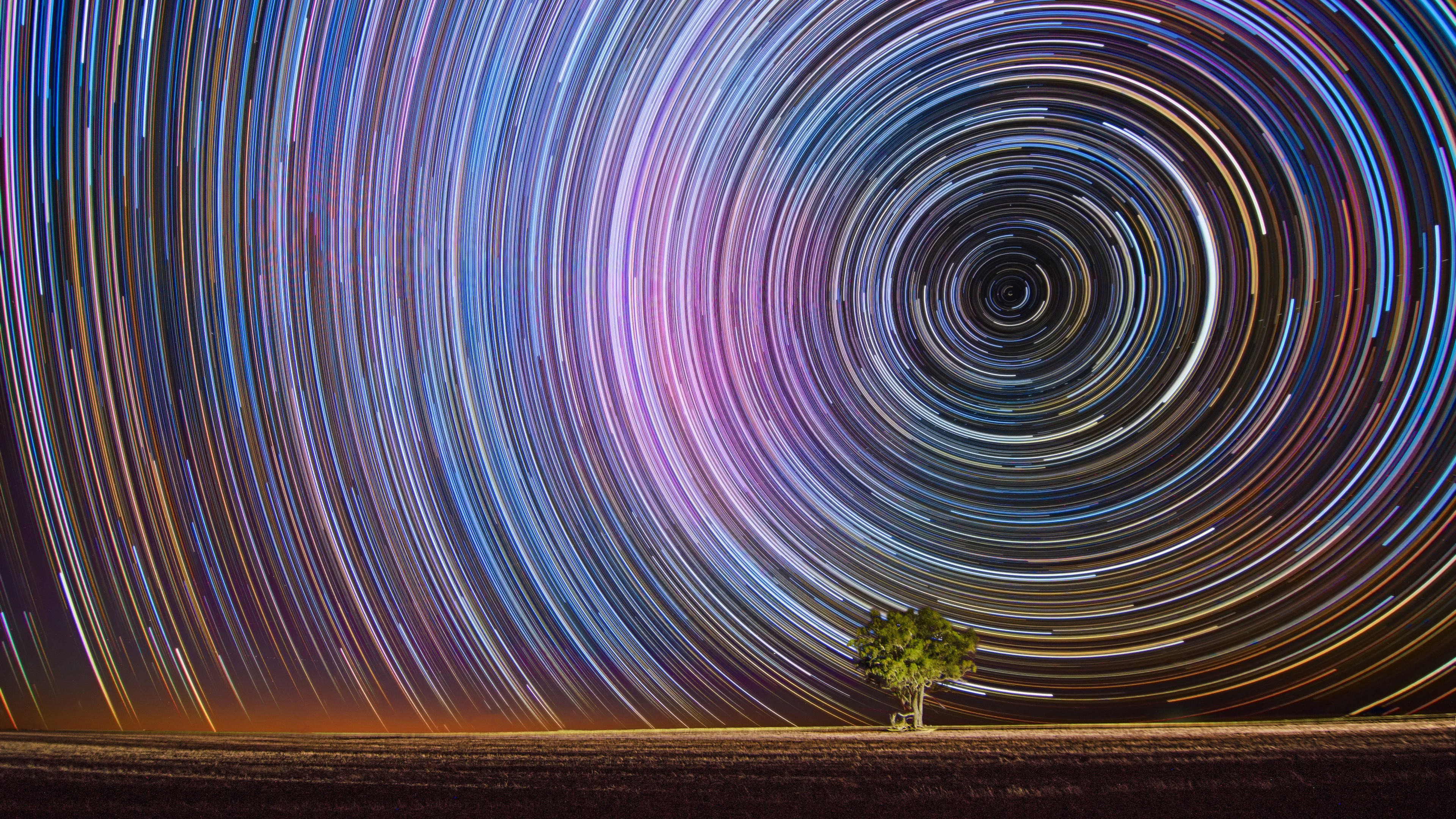 Star Trails in Night Sky with Lone Tree 4K HD Wallpaper