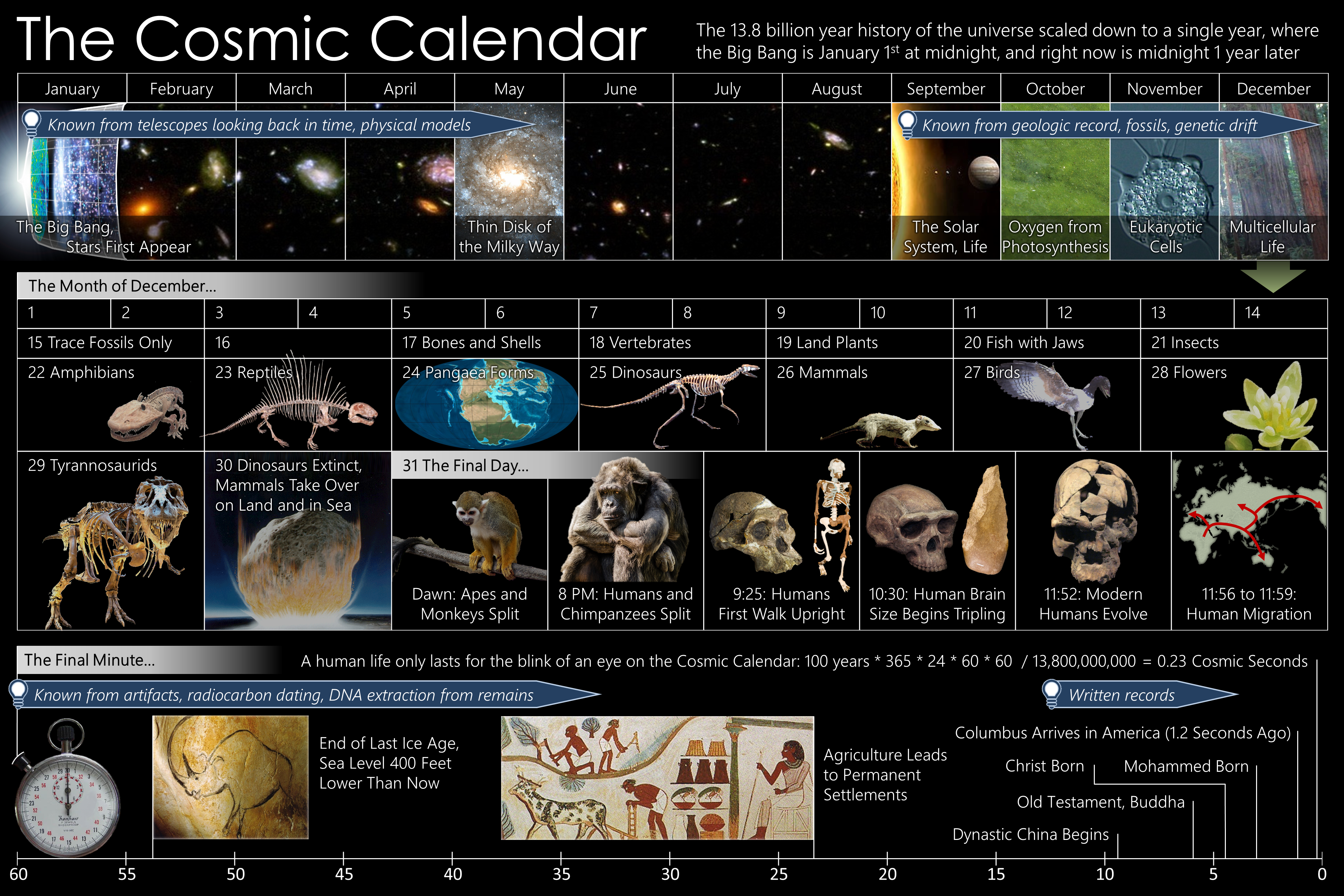 The Cosmic Calendar: Universe History in One Year HD Wallpaper