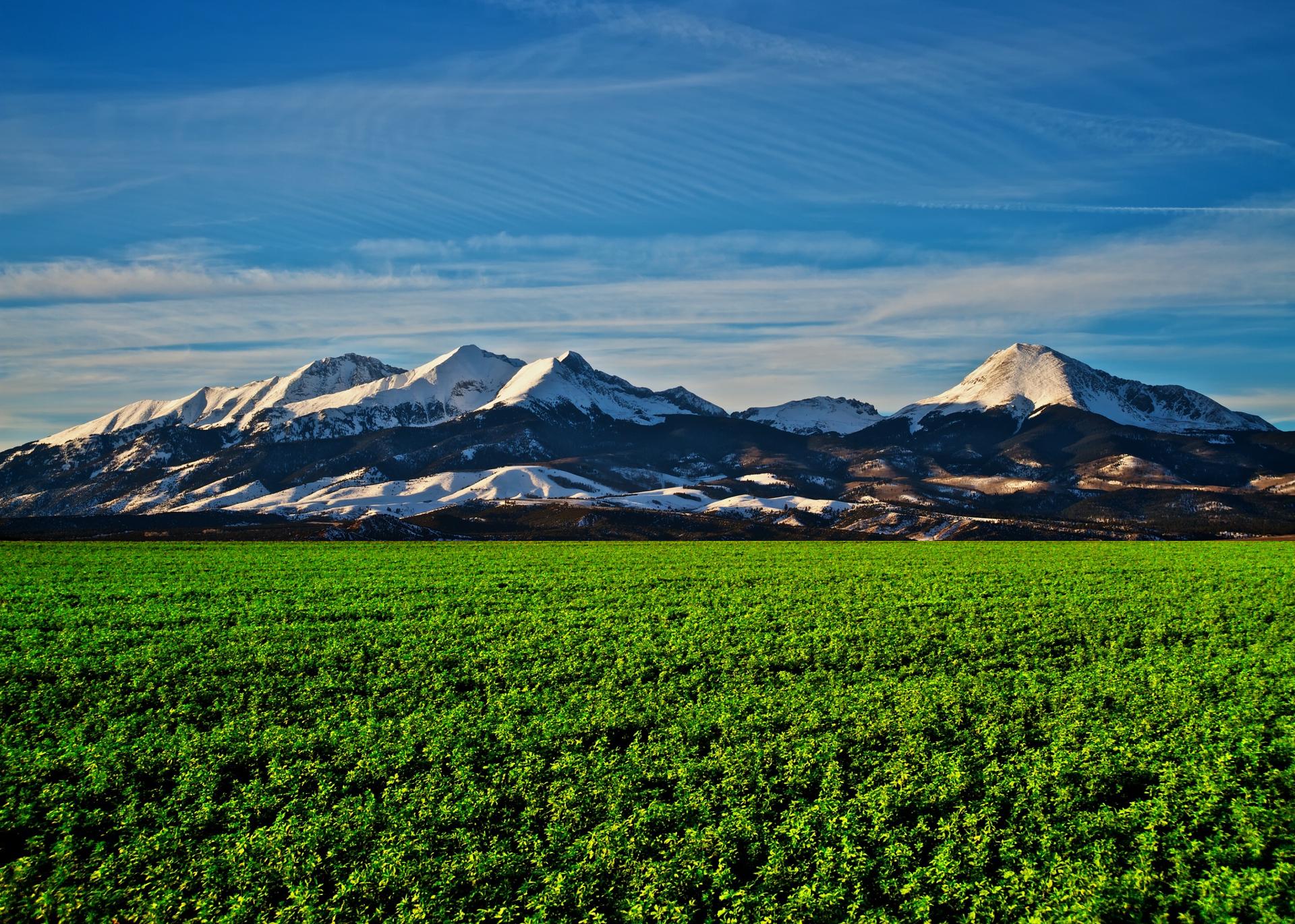 Snow-capped mountains over a vibrant green field HD Wallpaper