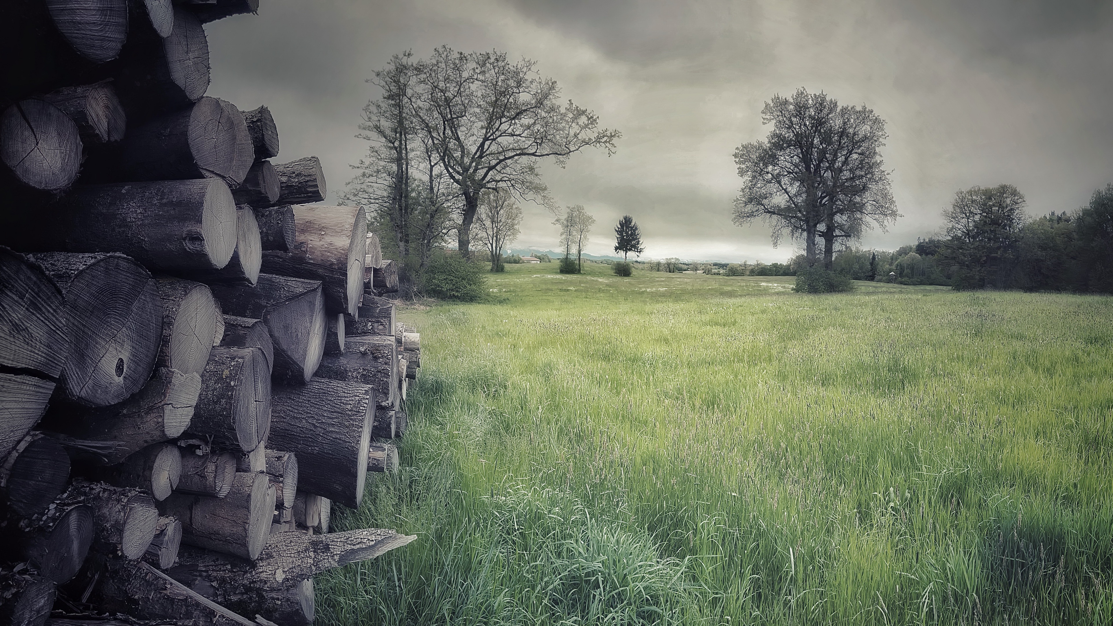 4K Landscape: Stacked logs by a green field and trees HD Wallpaper