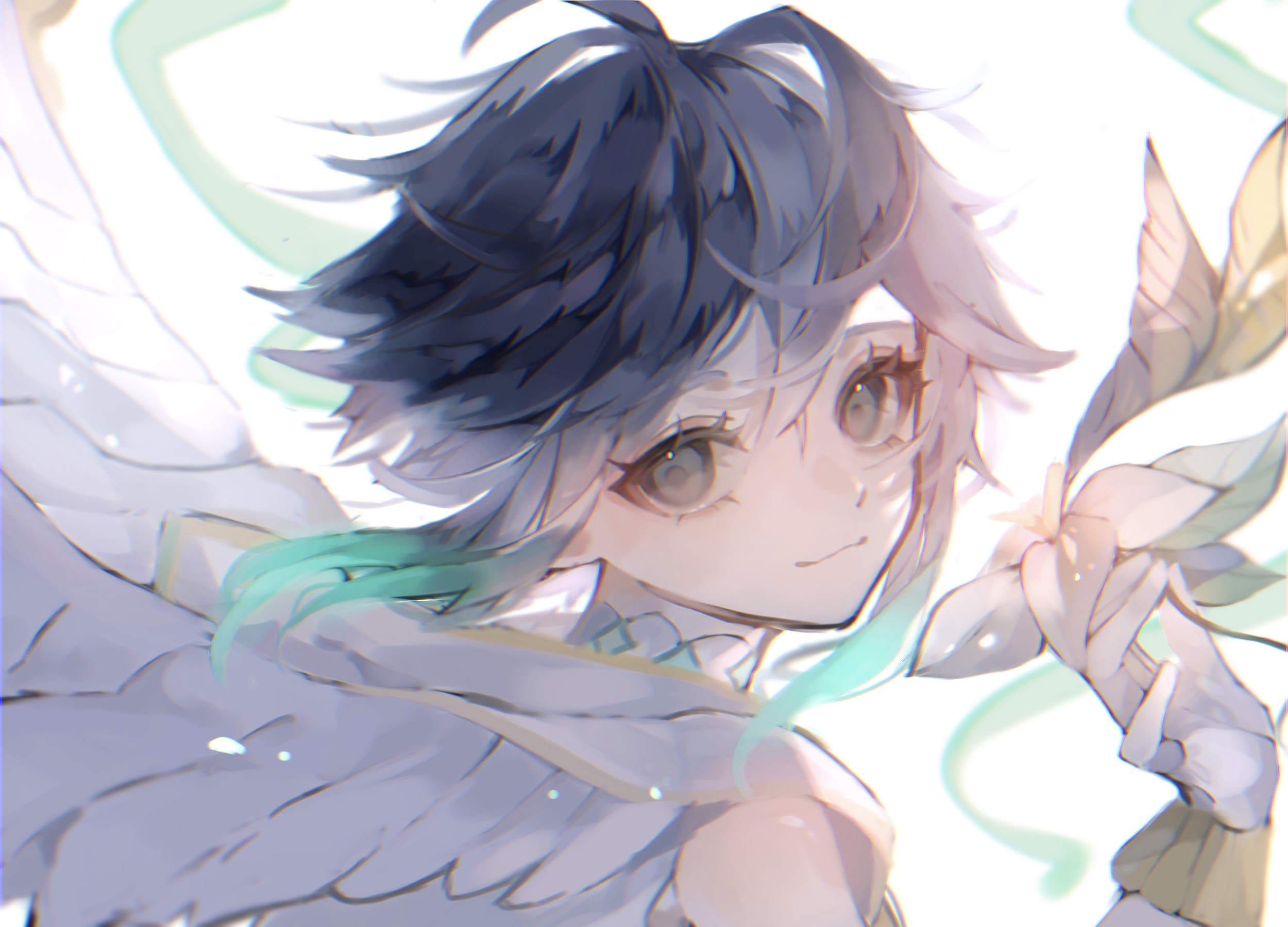 Venti Genshin Impact: Angelic with flower and wings HD Wallpaper