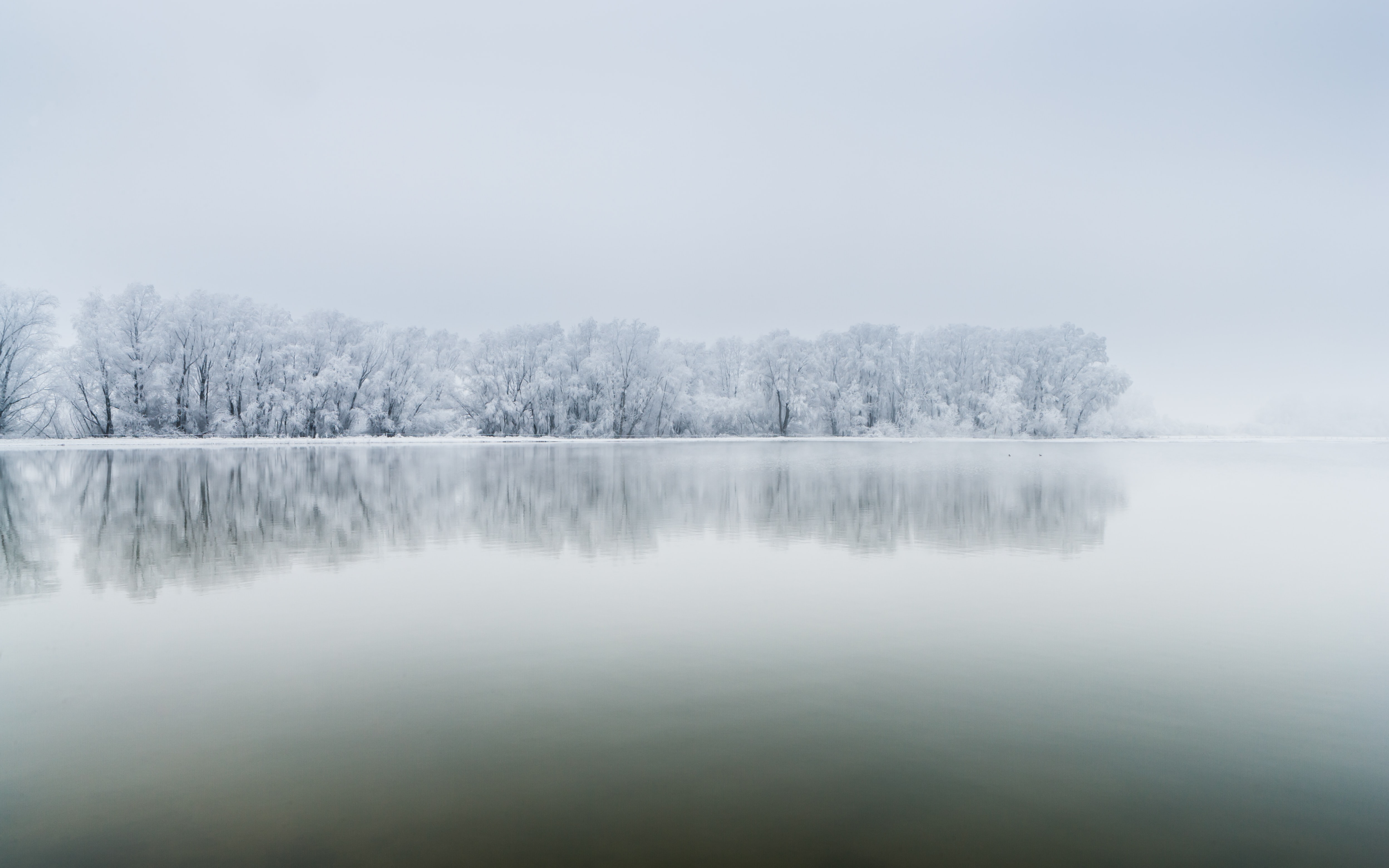 Misty Winter Morning with Frosted Trees and Reflections HD Wallpaper