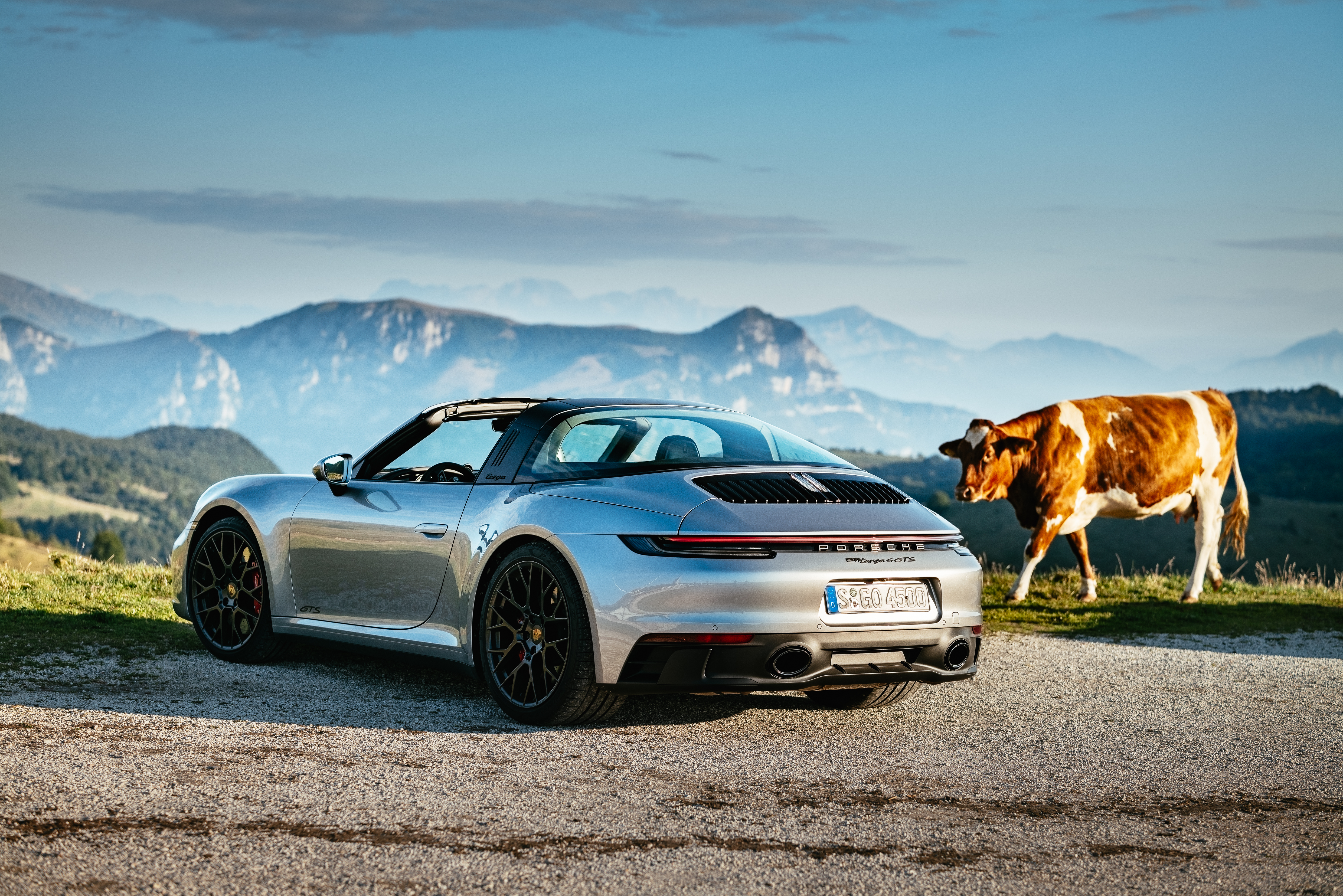Porsche 911 Targa 4 GTS and cow in the mountains HD Wallpaper