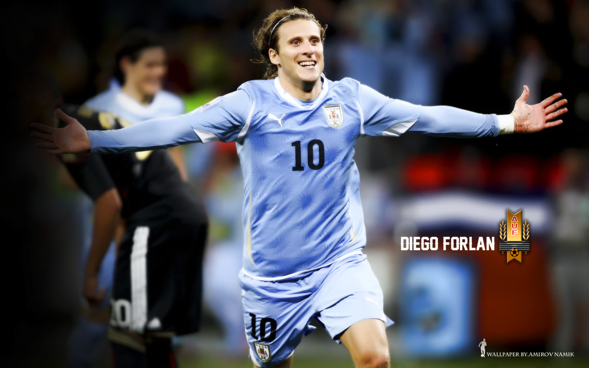 Diego Forlán celebrating for Uruguay national football team HD Wallpaper
