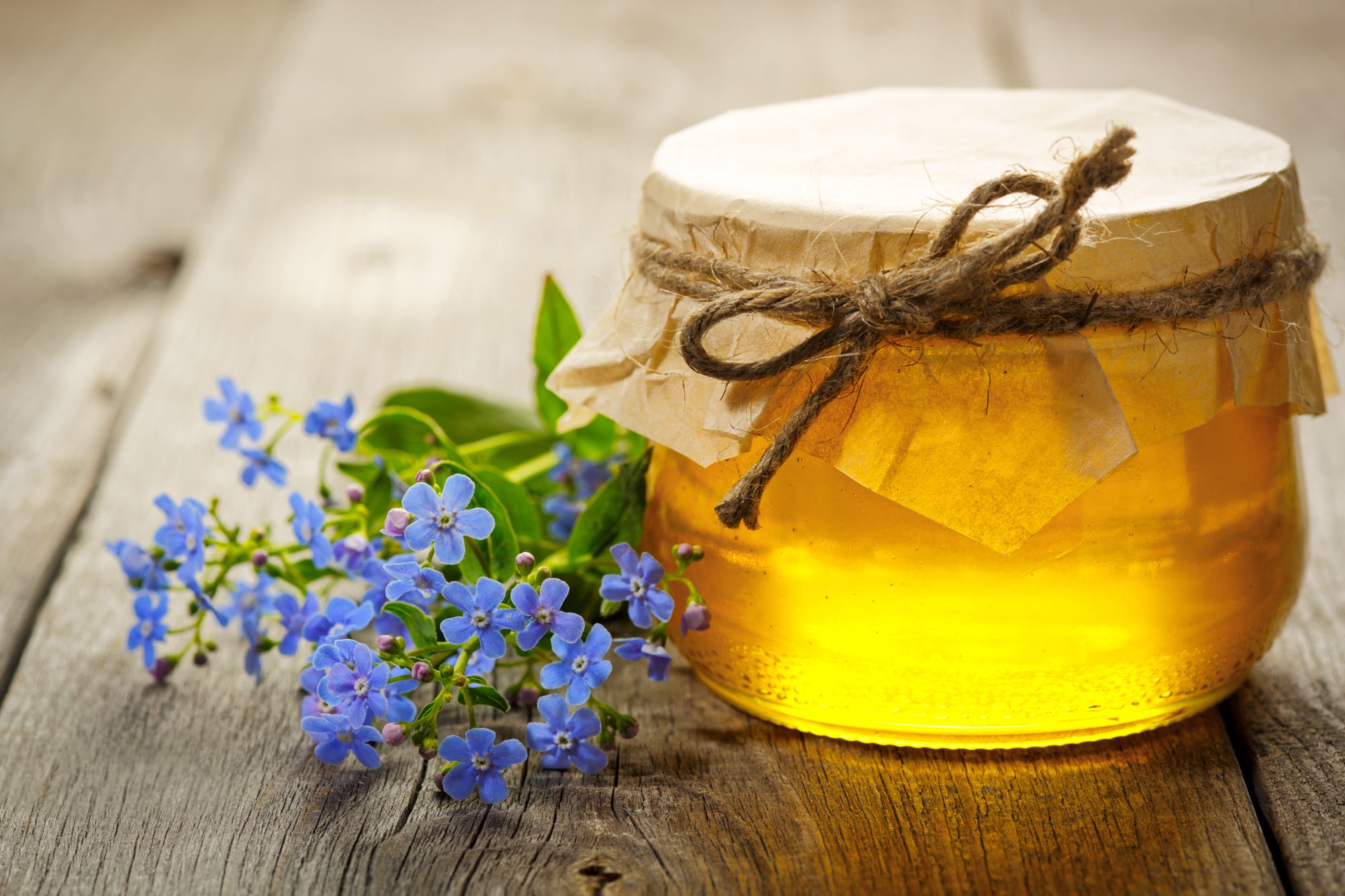 Golden honey jar and blue forget-me-not flowers HD Wallpaper
