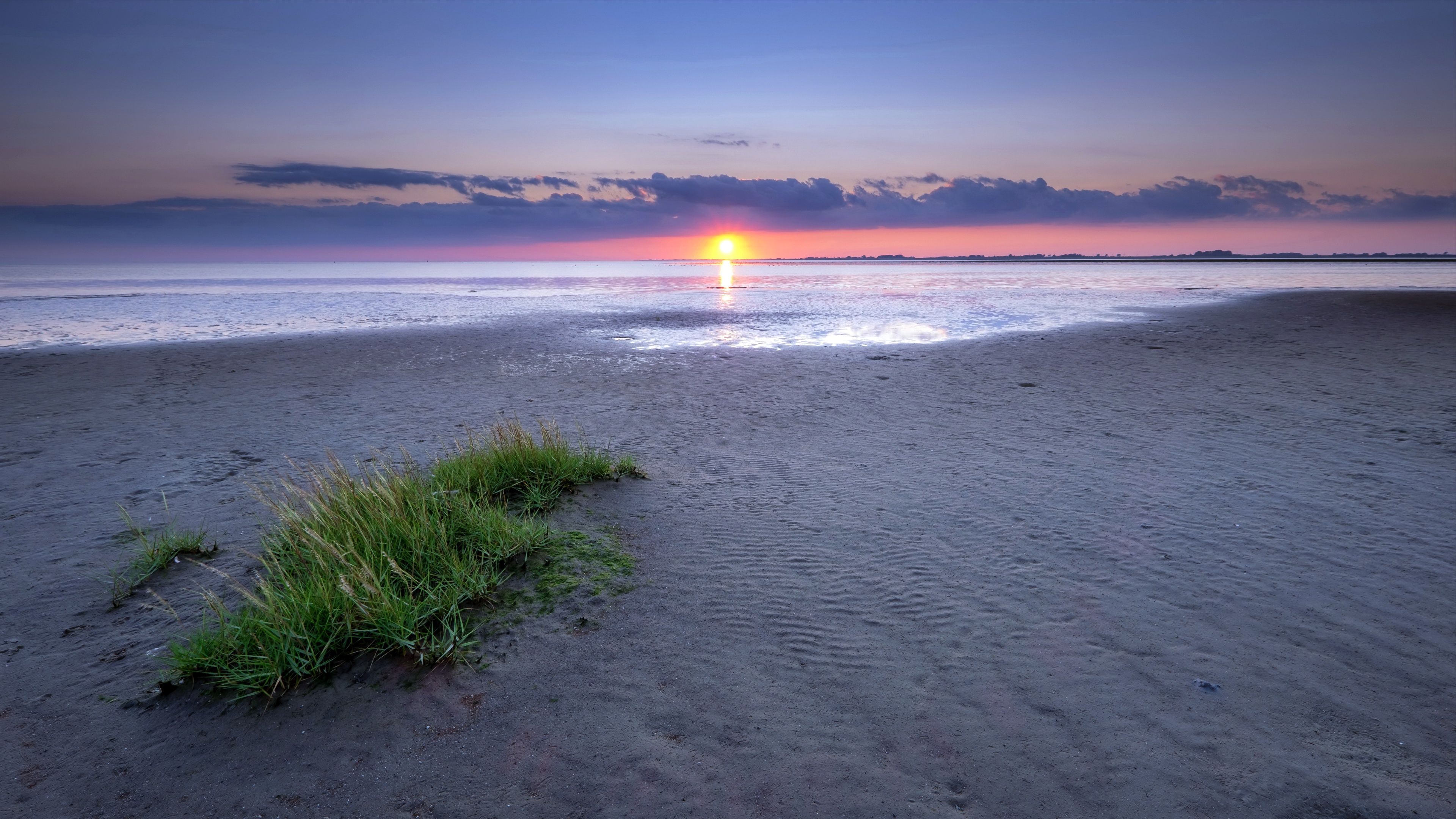 Vibrant Sunset over Ocean Beach with Green Grass HD Wallpaper