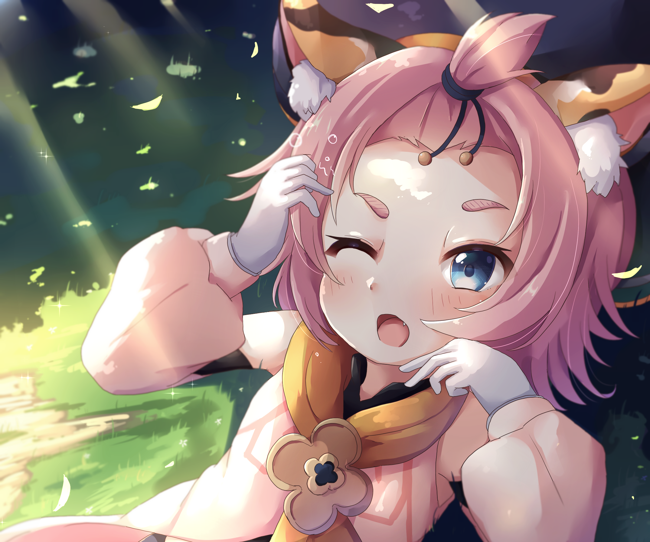 Diona (Genshin Impact) winking with short pink hair HD Wallpaper