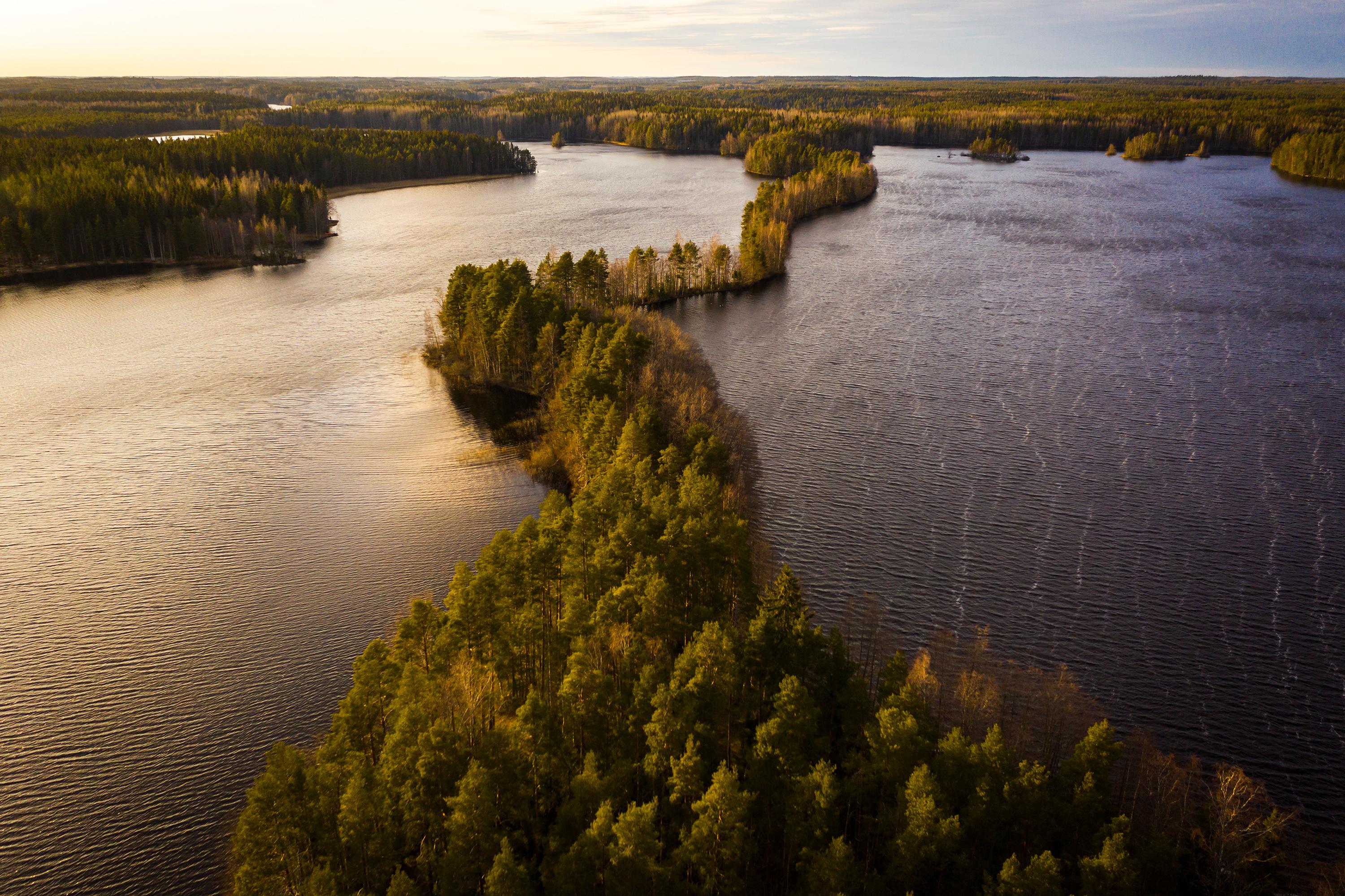 Aerial View of Winding Forest Peninsula in Lake HD Wallpaper