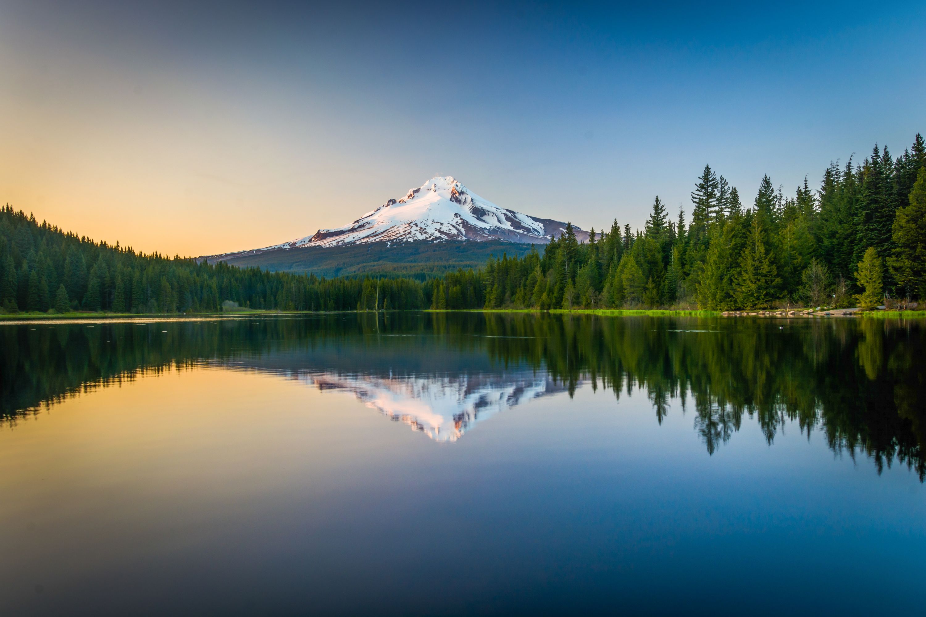 Scenic Mount Hood reflection in a tranquil forest lake HD Wallpaper