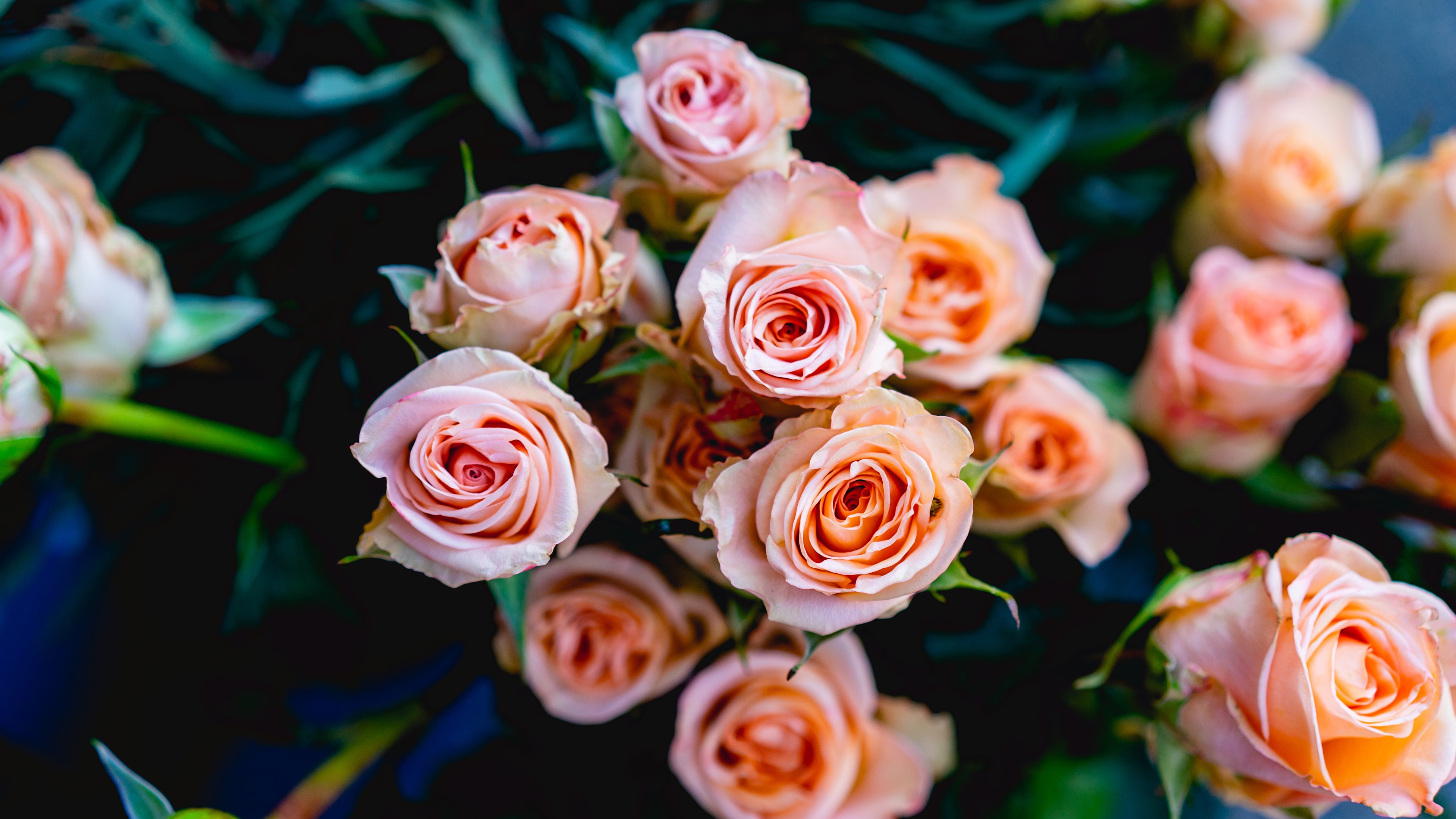 Pink and Peach Roses Bouquet 4K HD Wallpaper