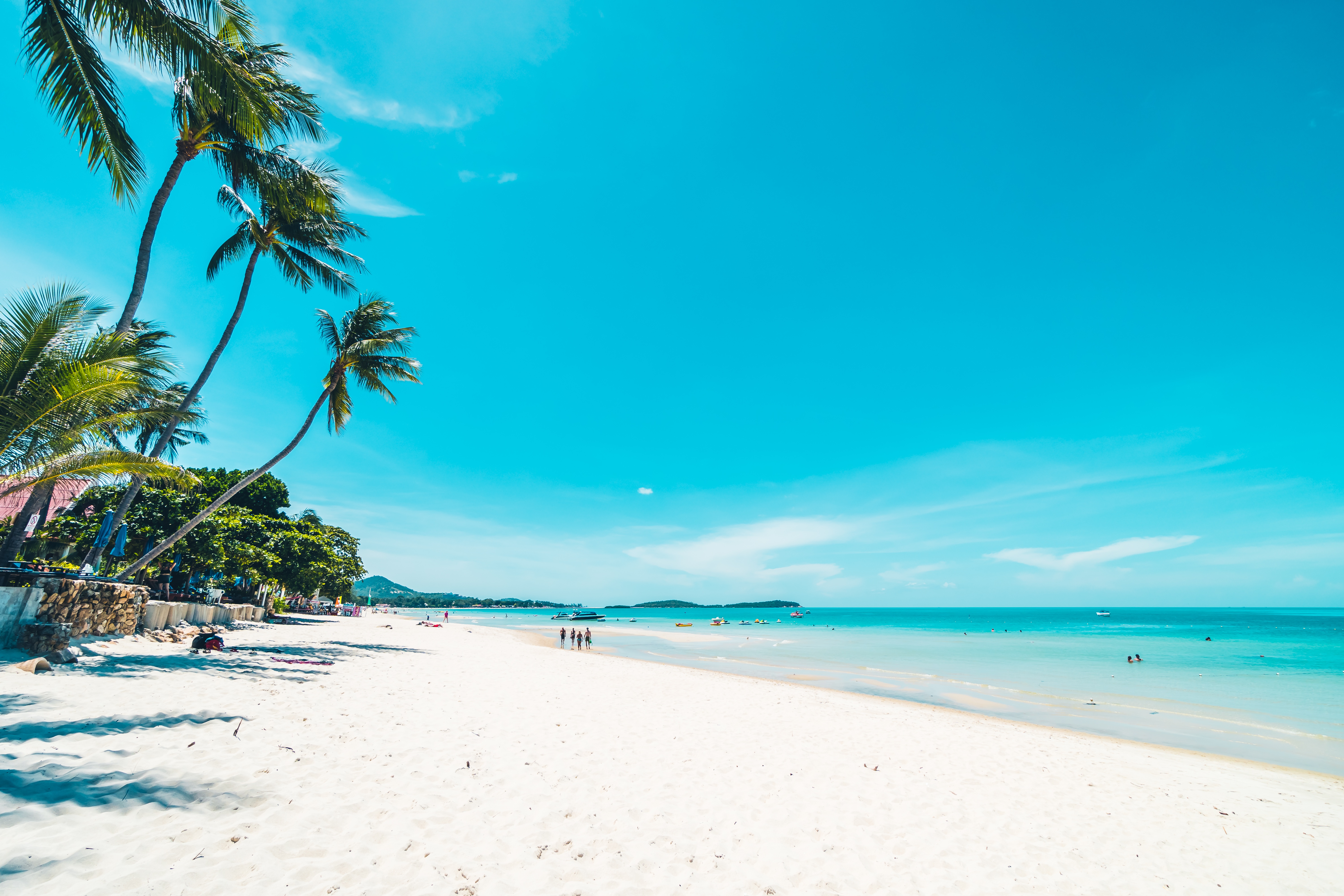 Paradise Beach with Palm Trees and Clear Blue Water HD Wallpaper