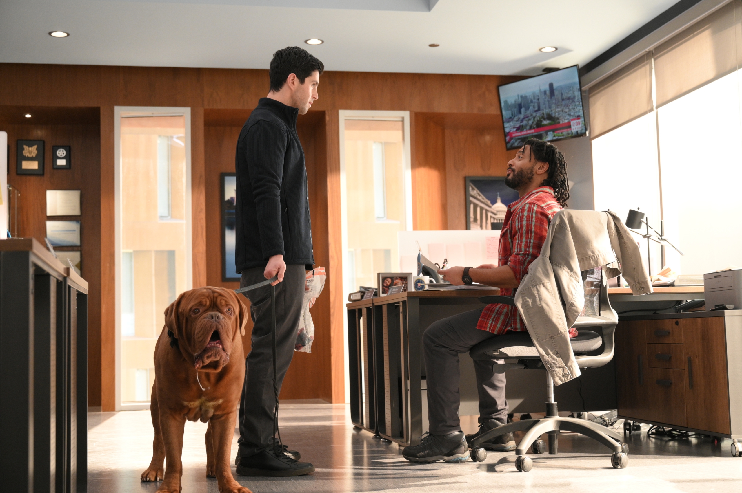Turner and Hooch: Josh Peck and dog in office HD Wallpaper
