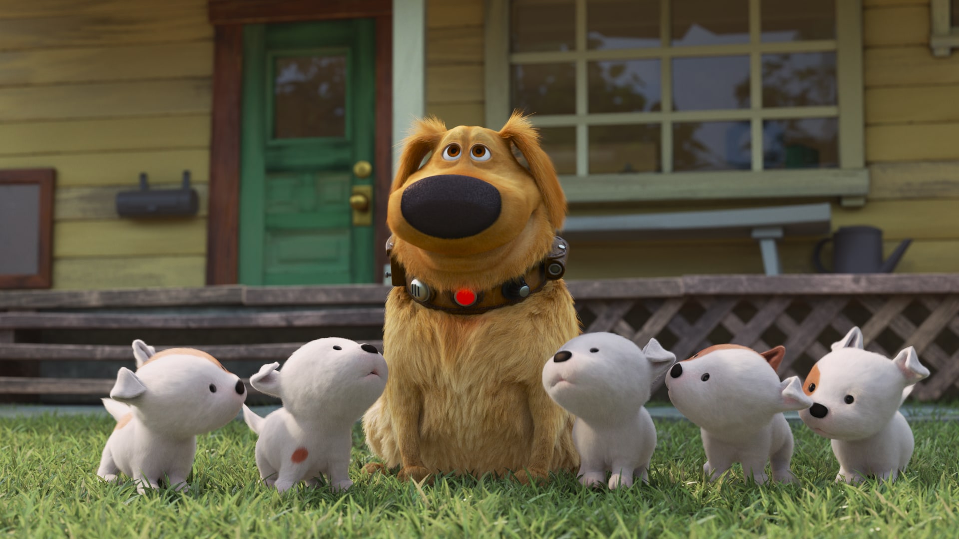 Dug and the puppies from Dug Days HD Wallpaper