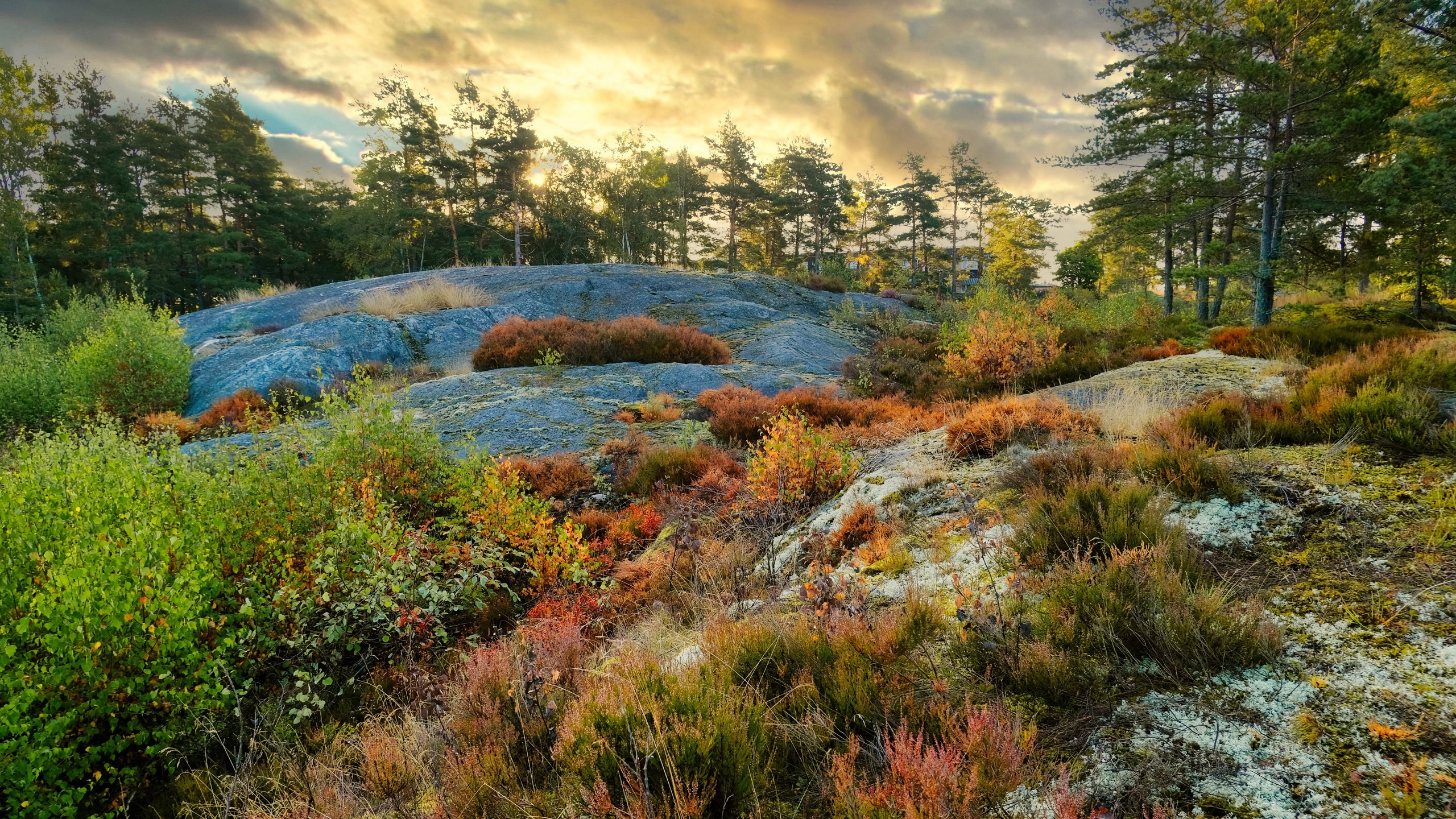 Golden hour over a rocky forest with vibrant autumn foliage HD Wallpaper