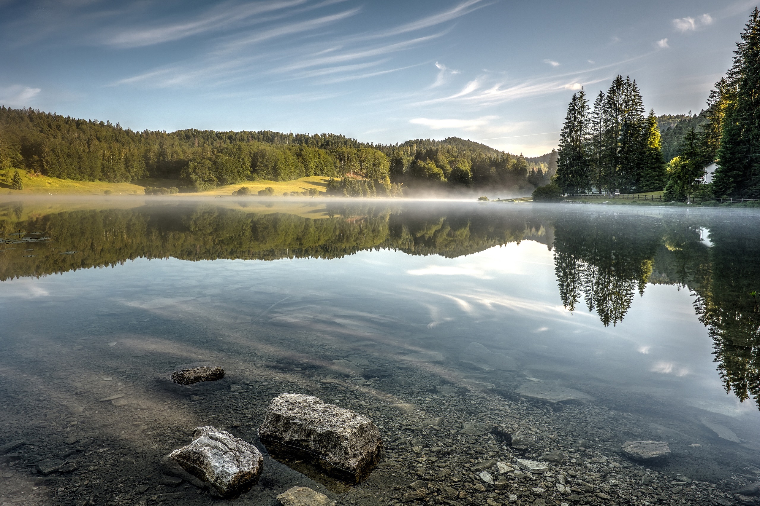 Morning Mist over Forest Lake Reflection HD Wallpaper