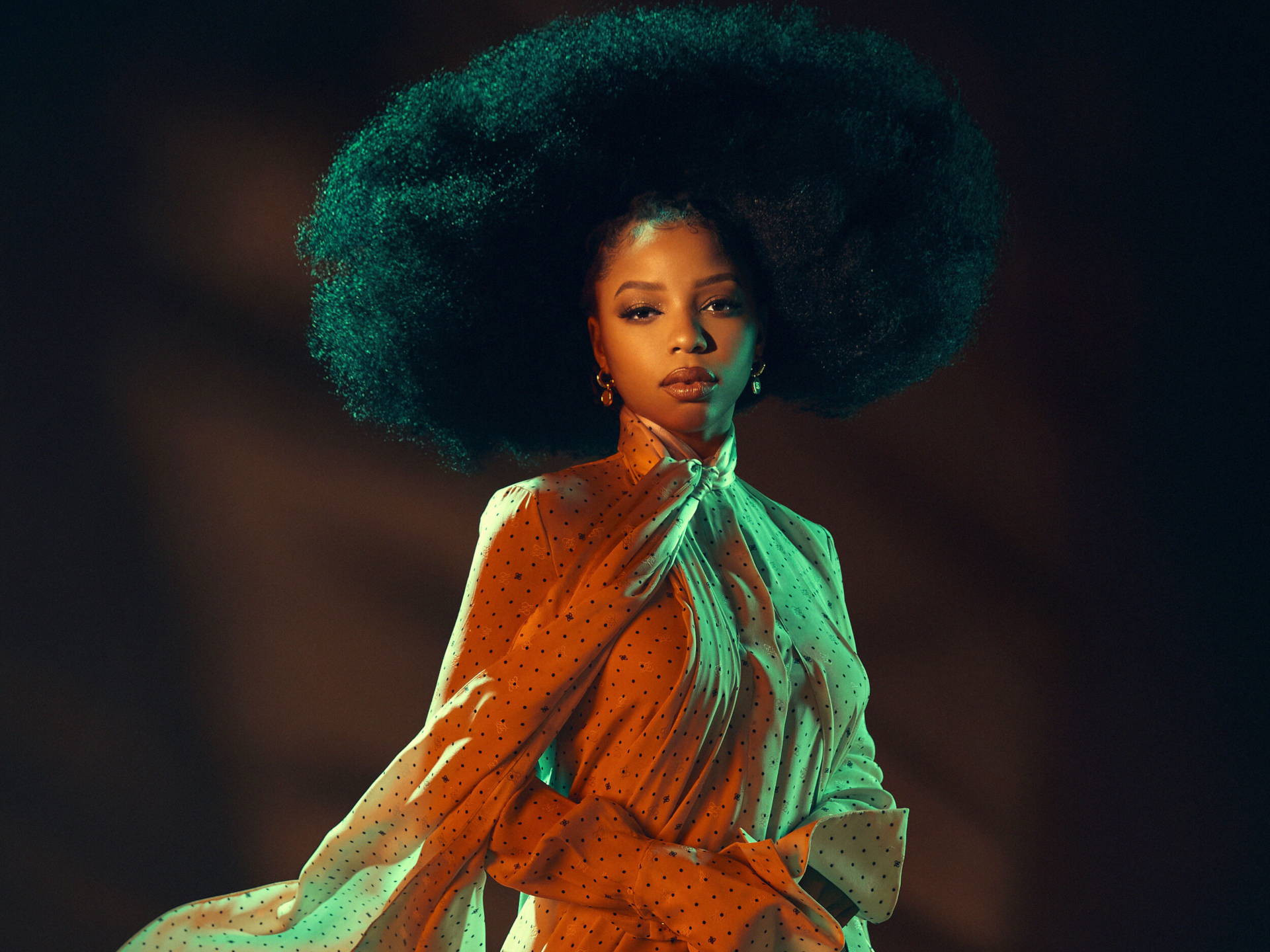 Chloe Bailey's dramatic portrait with large afro HD Wallpaper
