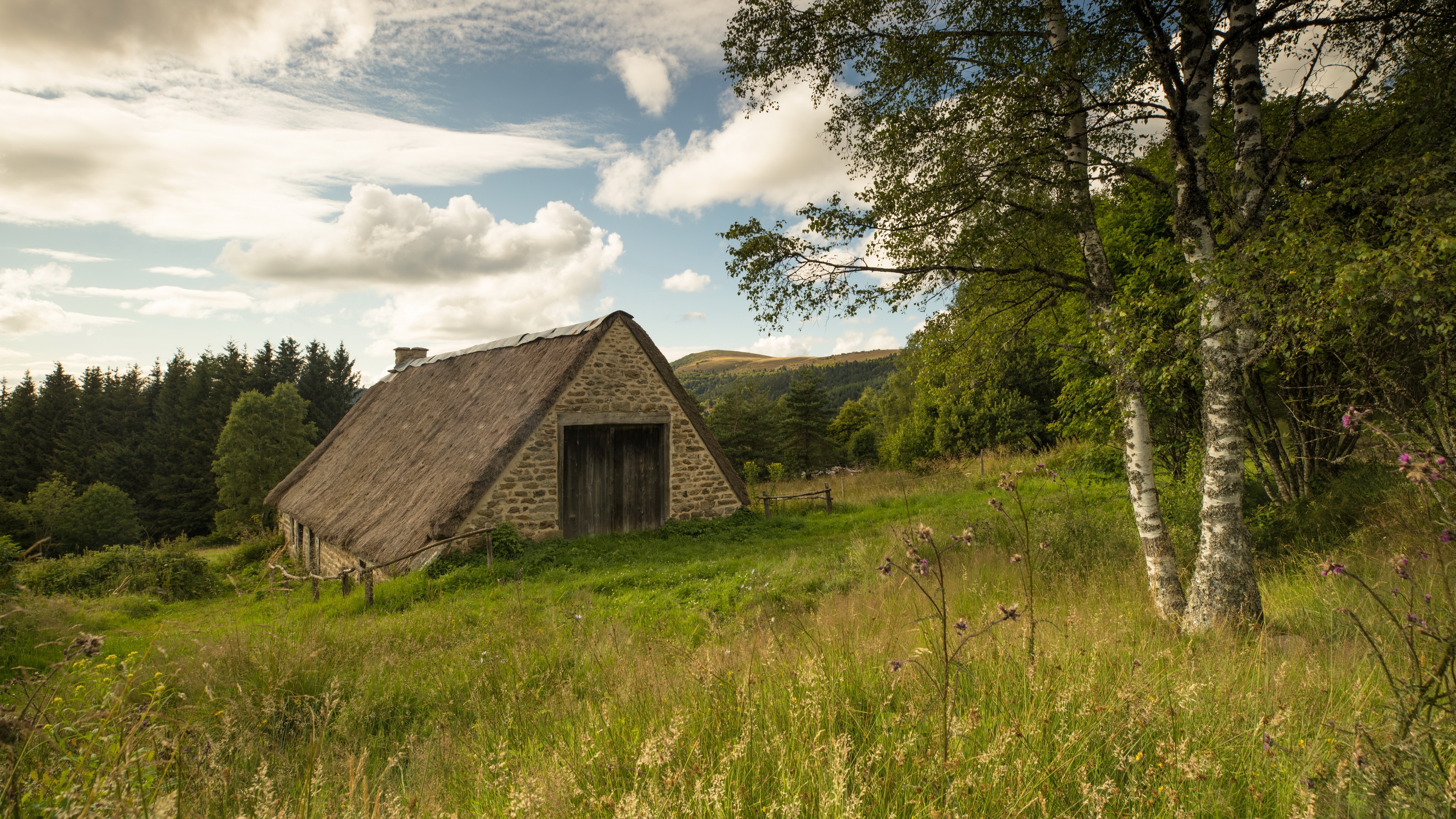 Rustic stone hut in a green forest landscape HD Wallpaper