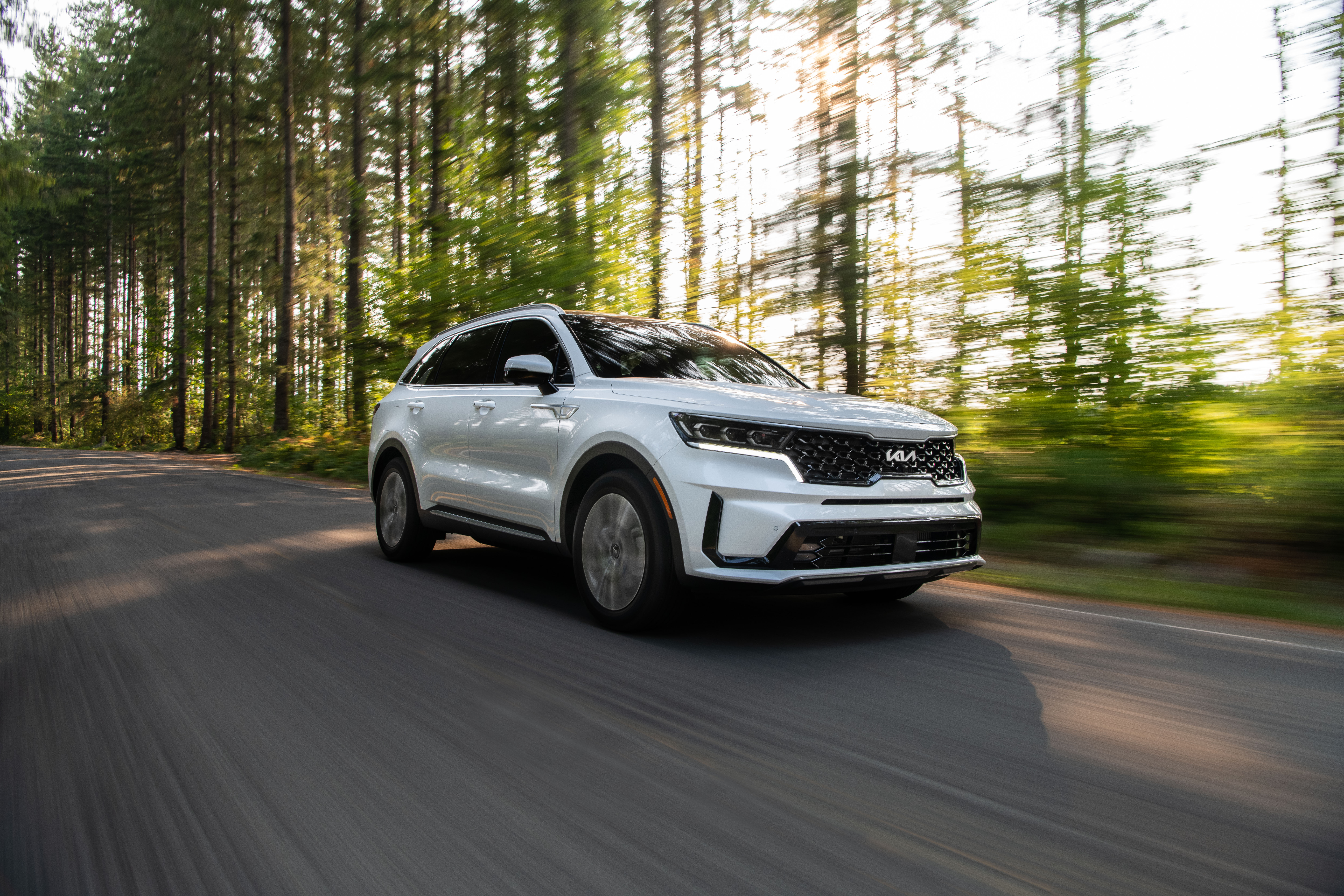 2022 White Kia Sorento PHEV driving through forest HD Wallpaper