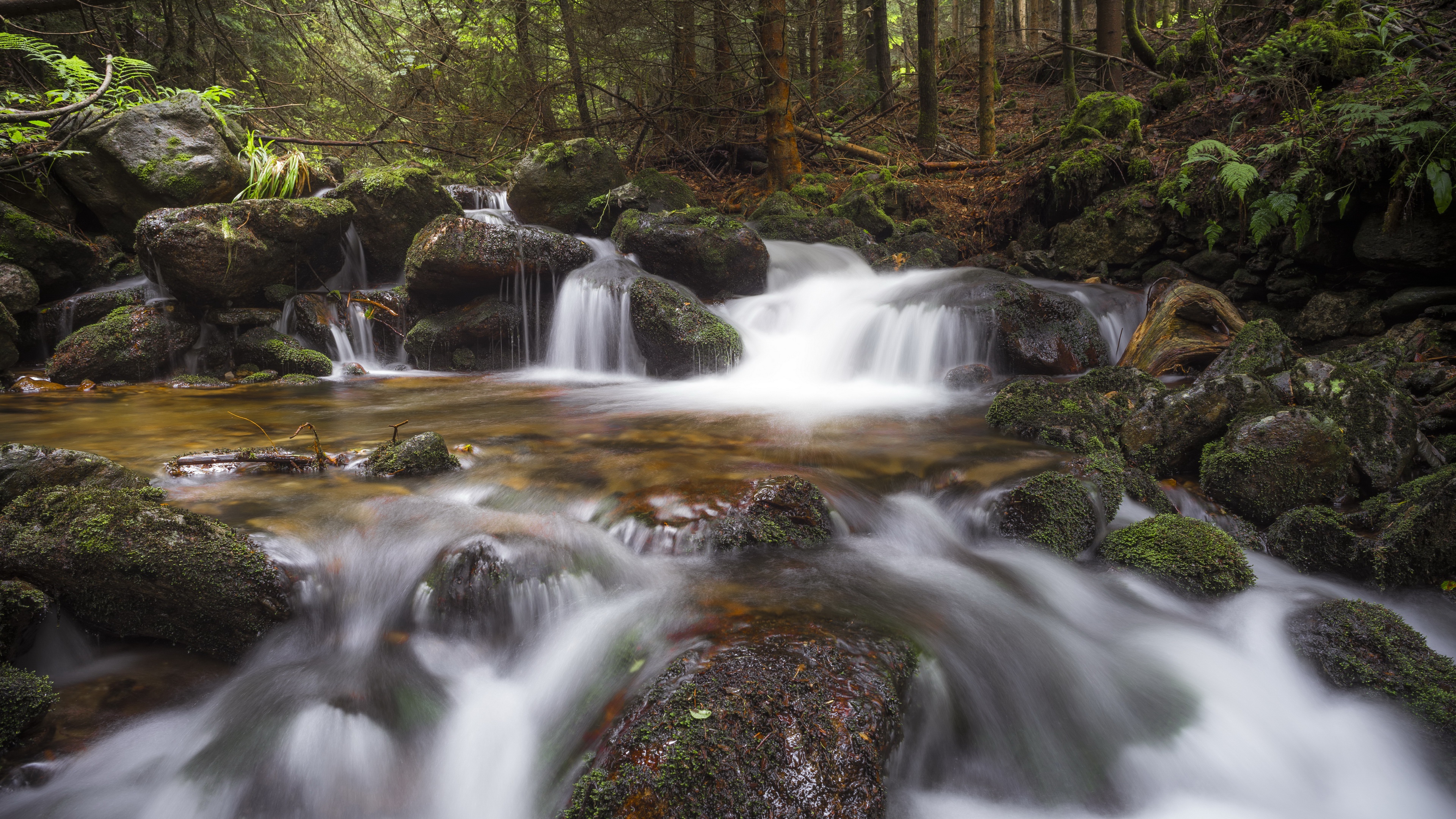 Lush Forest Stream Cascading Over Mossy Rocks 4K HD Wallpaper