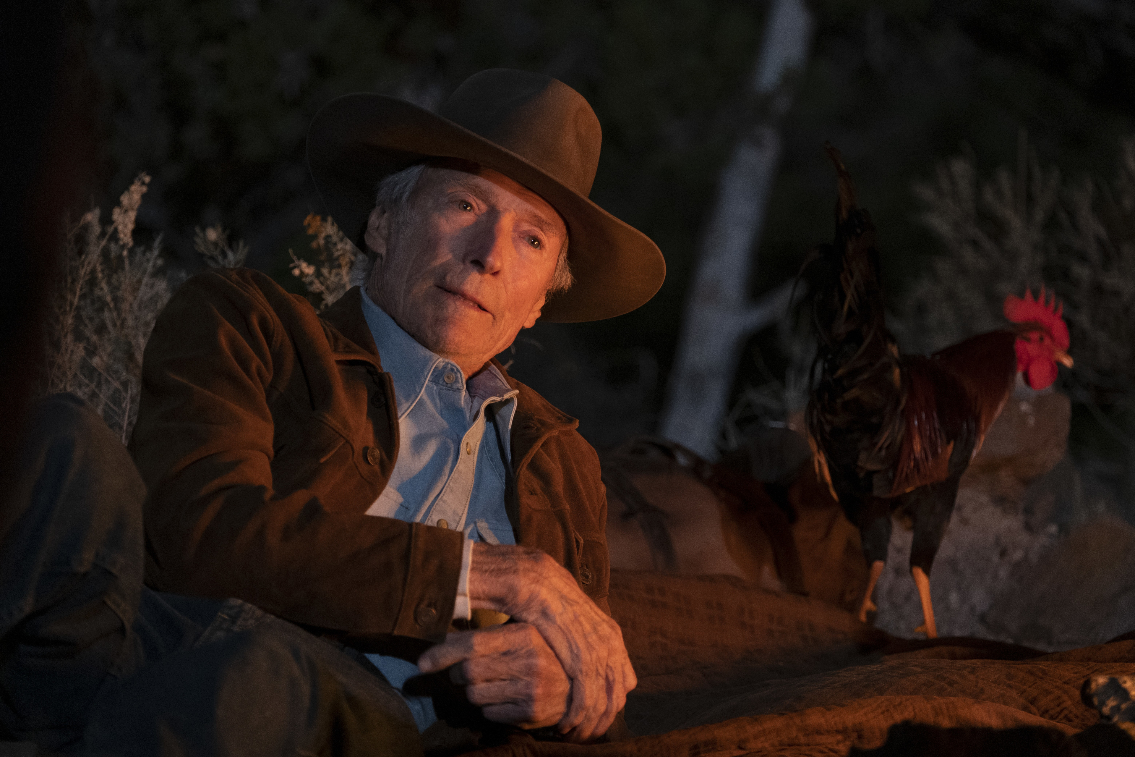 Clint Eastwood and rooster by campfire in Cry Macho HD Wallpaper