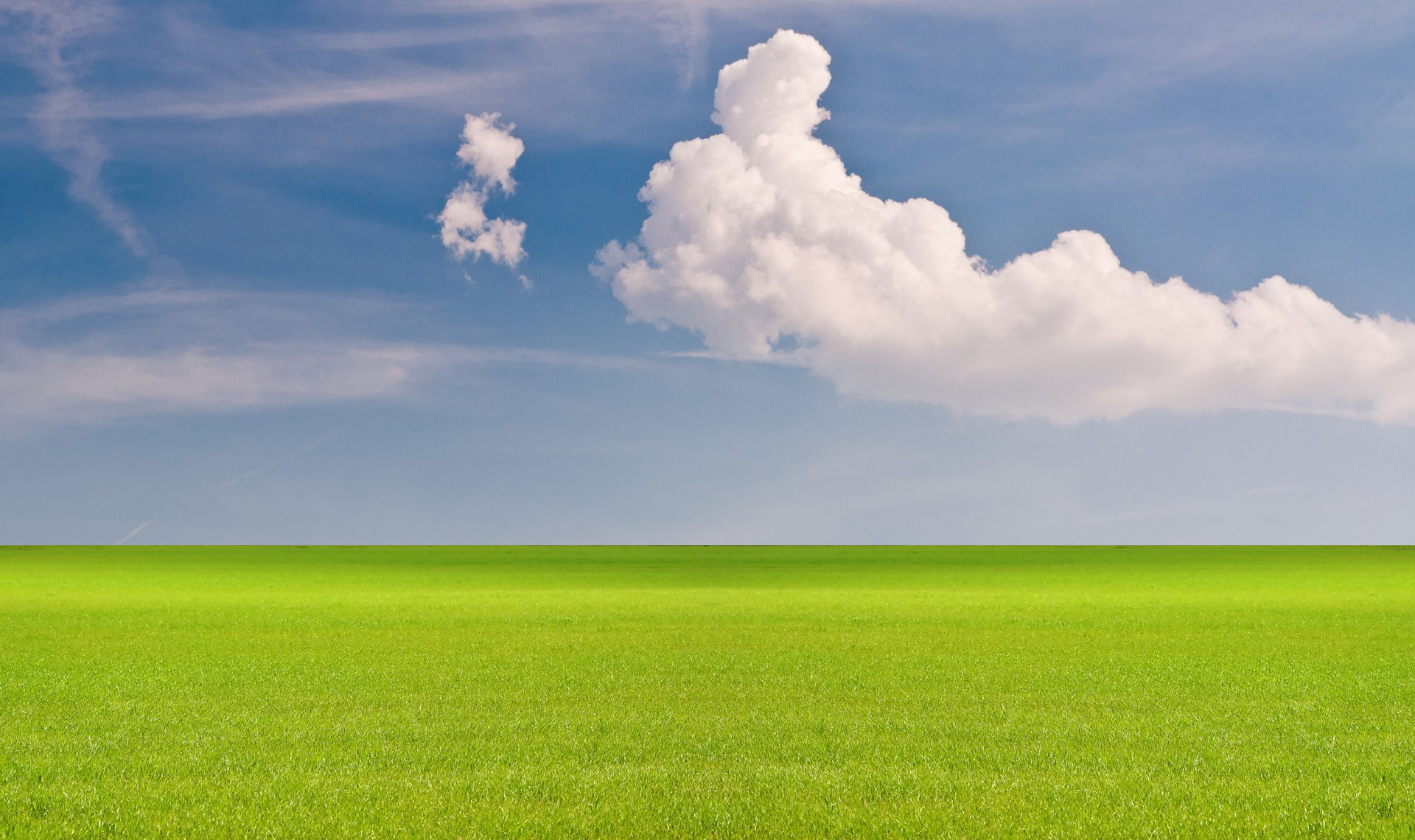 Vast Green Field under a Blue Sky with Clouds HD Wallpaper