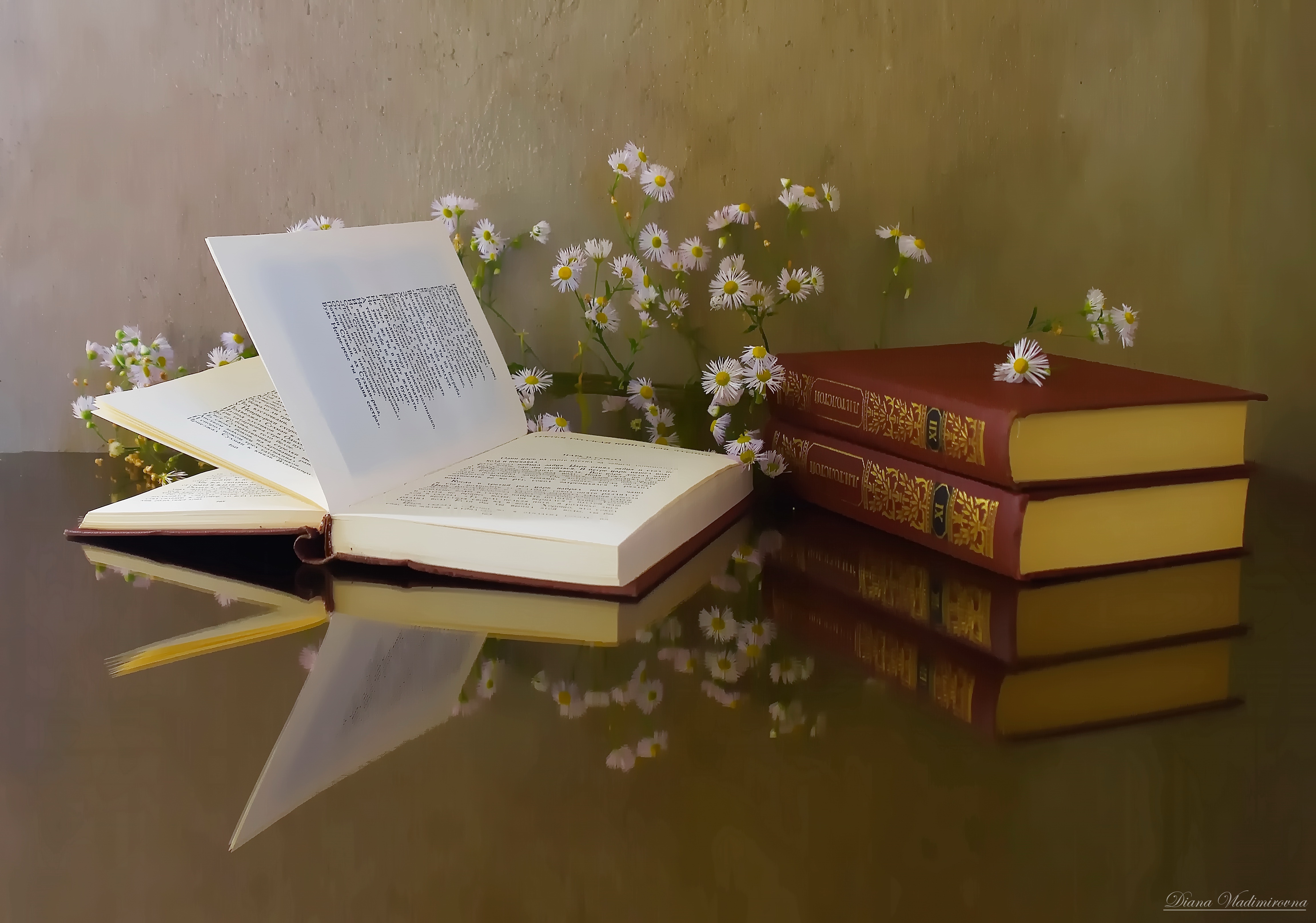 Still Life: Books, Daisies, and Reflection HD Wallpaper