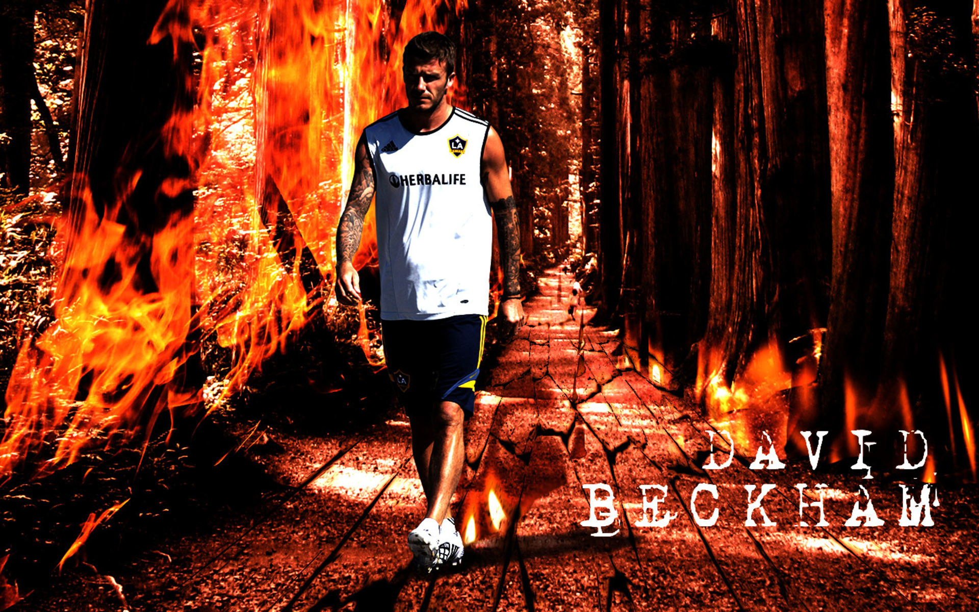 David Beckham in Fiery LA Galaxy Forest HD Wallpaper