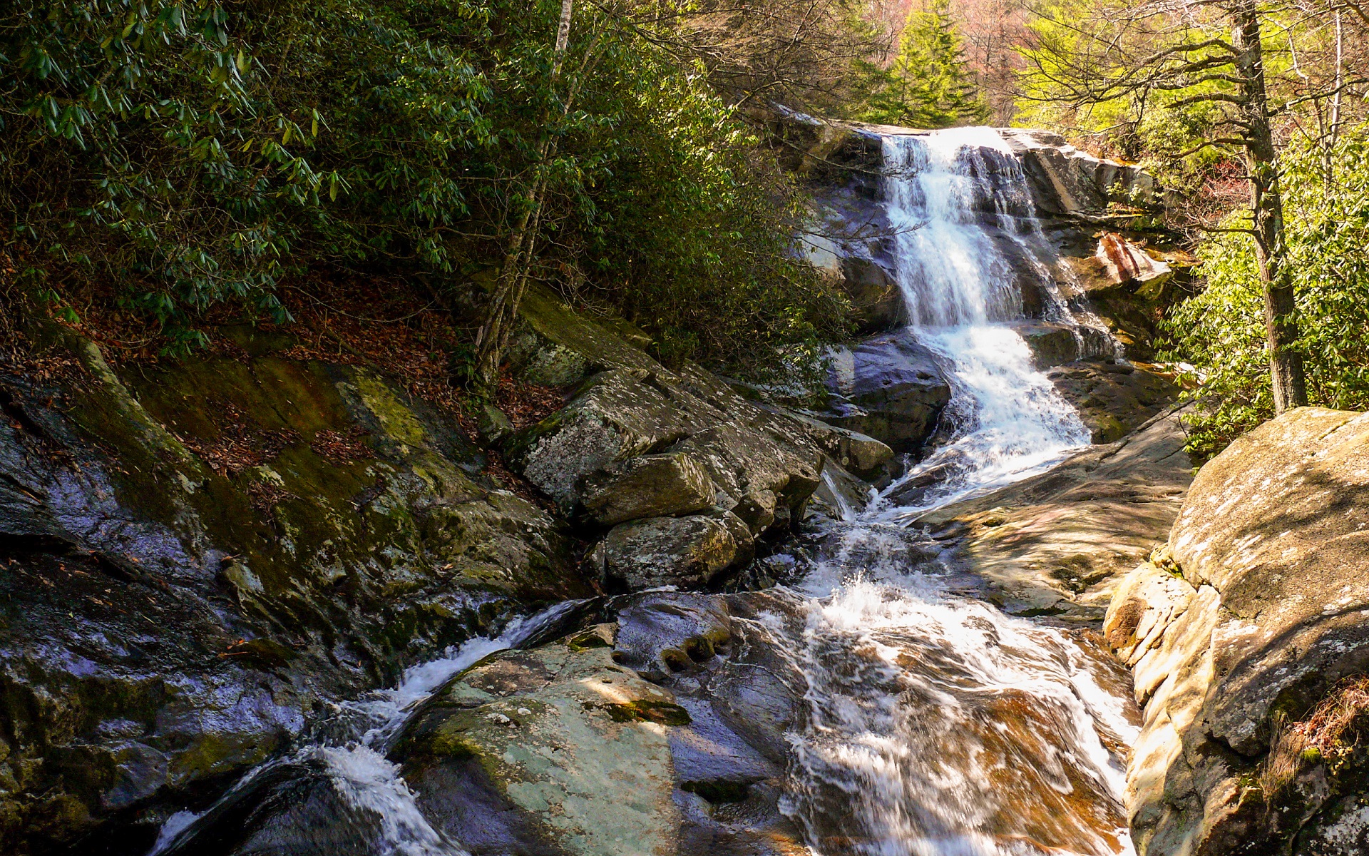 Cascading Waterfall Amidst Lush Green Forest HD Wallpaper