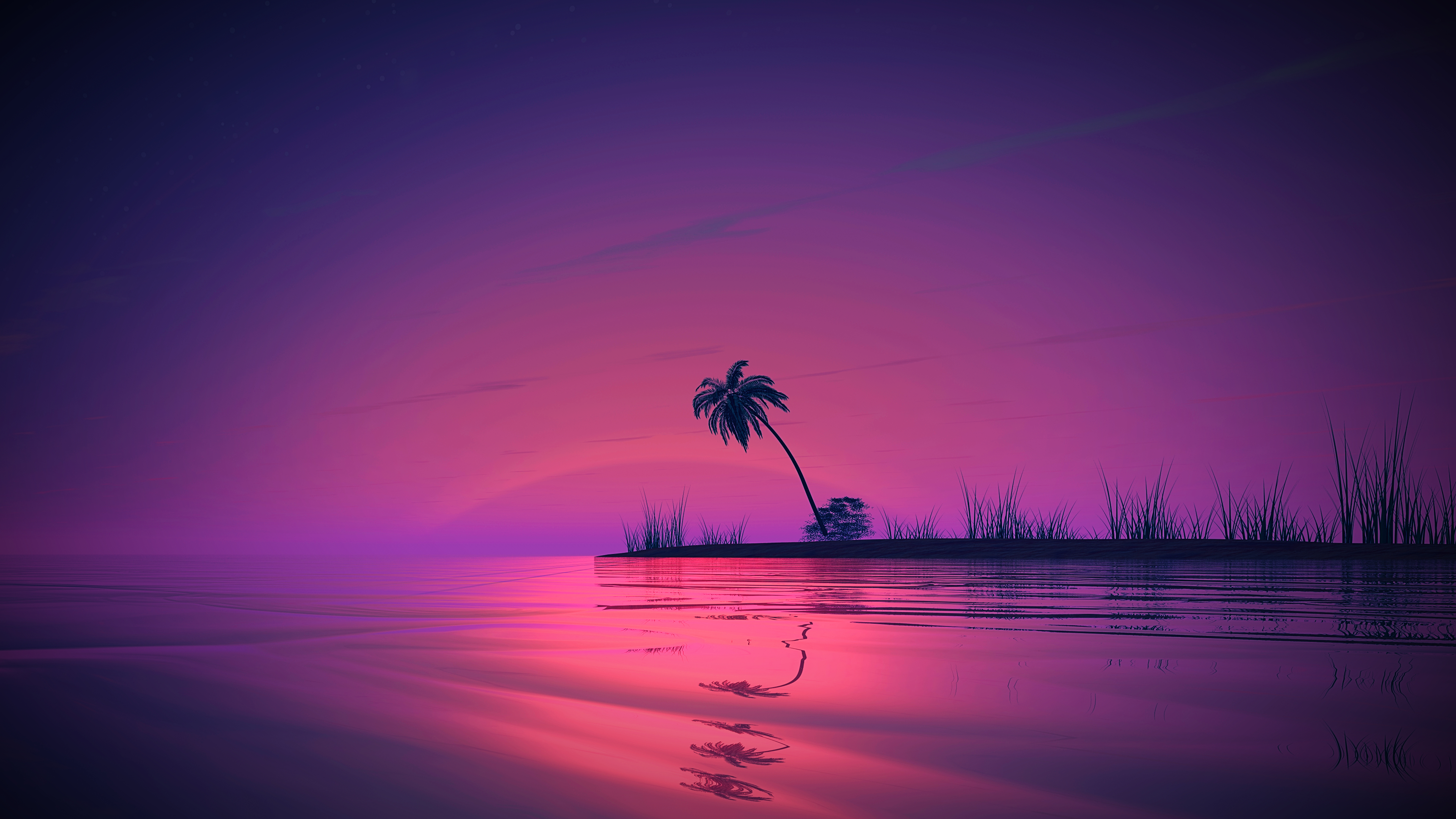 Vibrant 4K Sunset with Palm Tree over Water HD Wallpaper