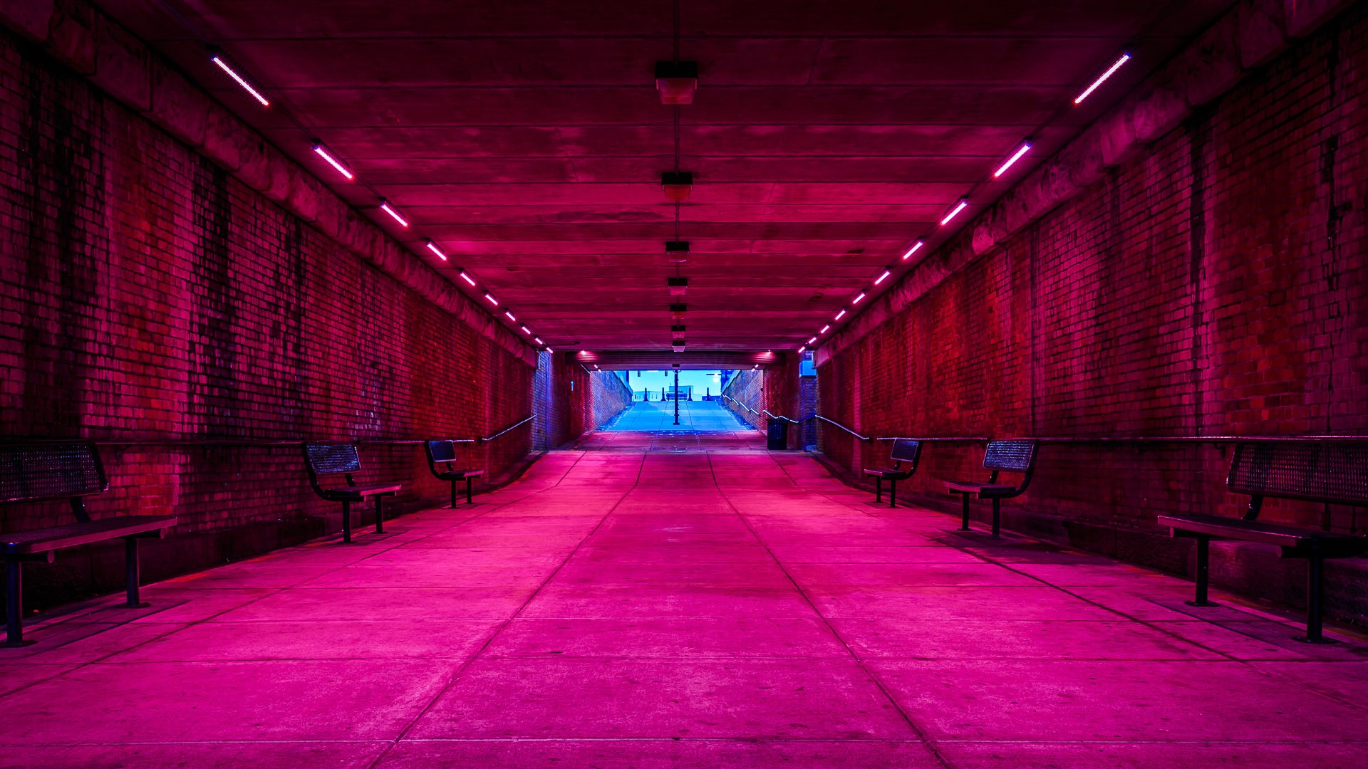 Vibrant Pink Tunnel Underpass HD Wallpaper