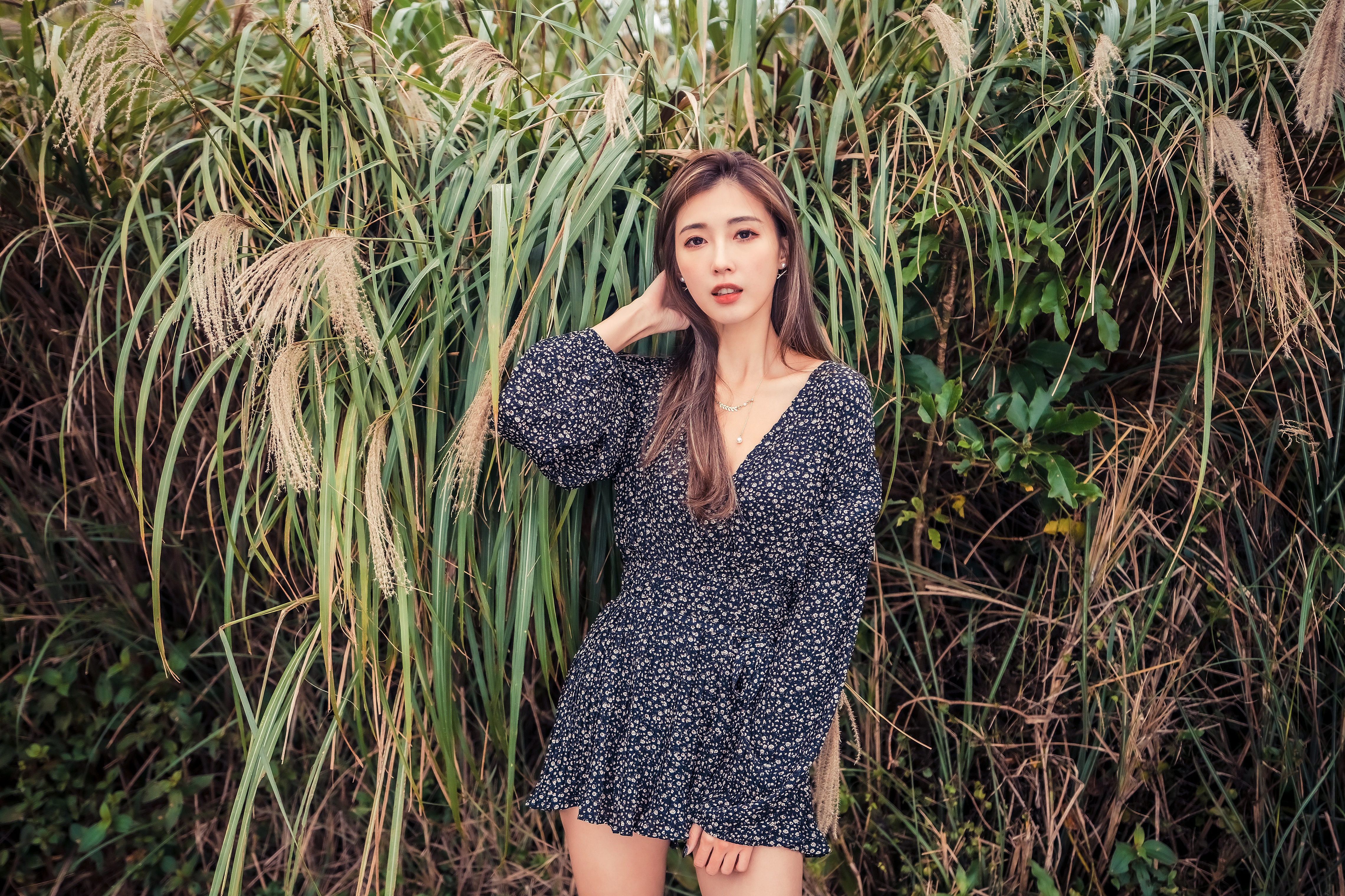 Asian Brunette Model in Floral Dress 4K HD Wallpaper