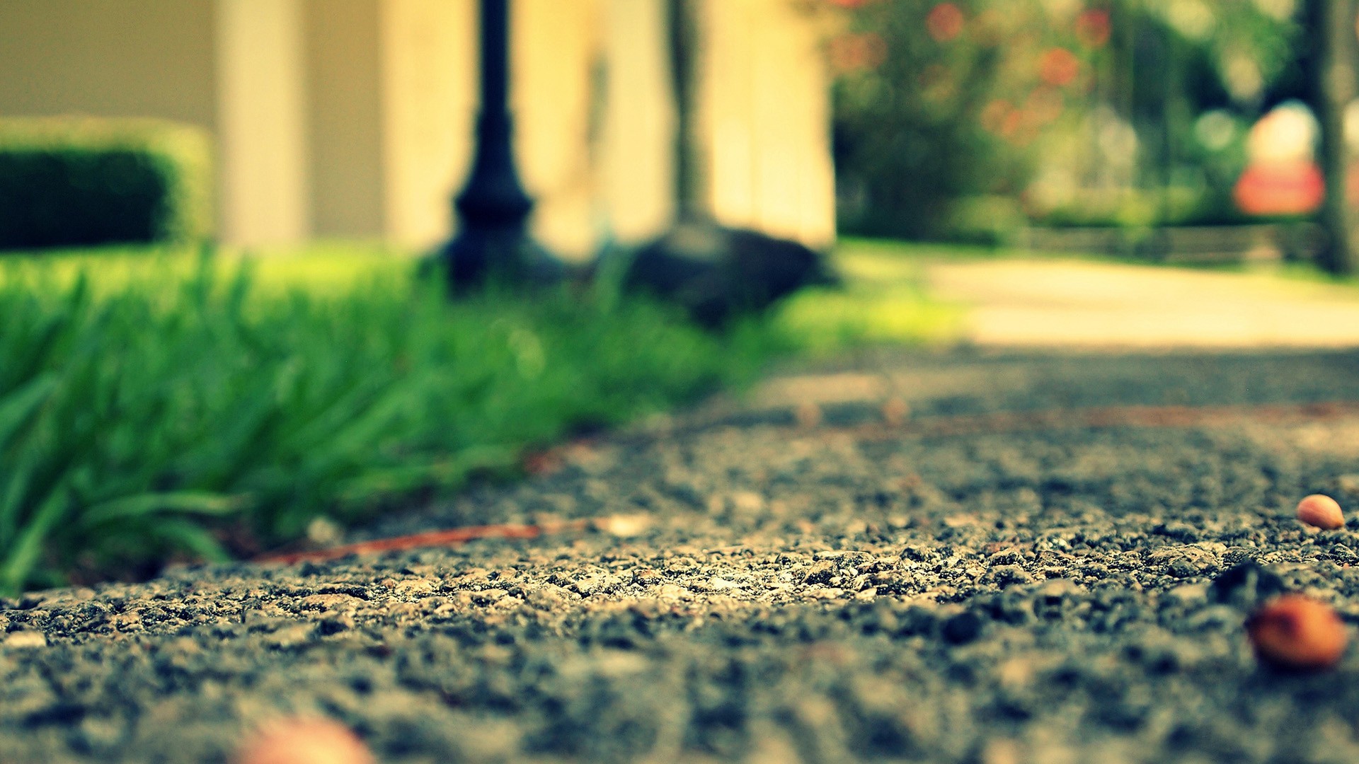 Path with green grass and blurred background HD Wallpaper