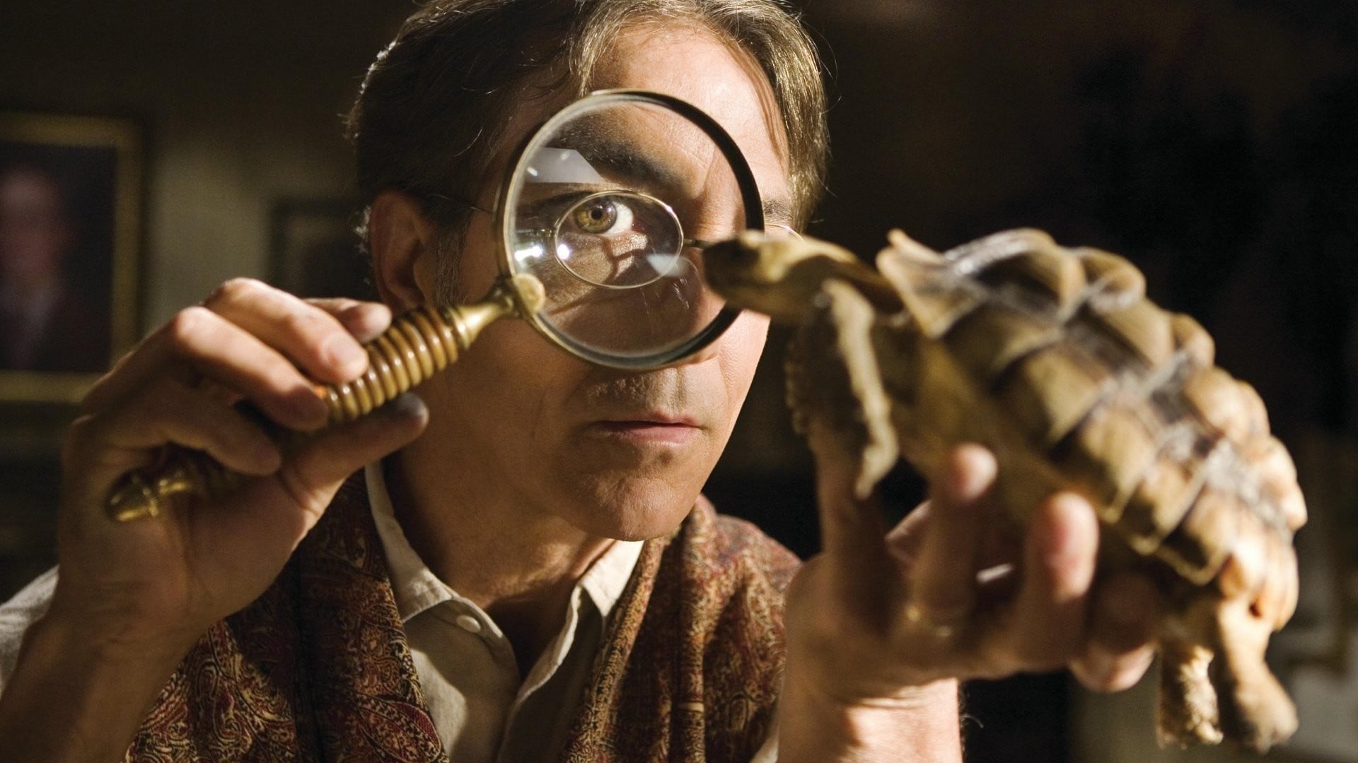 Arthur Spiderwick examining a tortoise with a magnifying glass HD Wallpaper