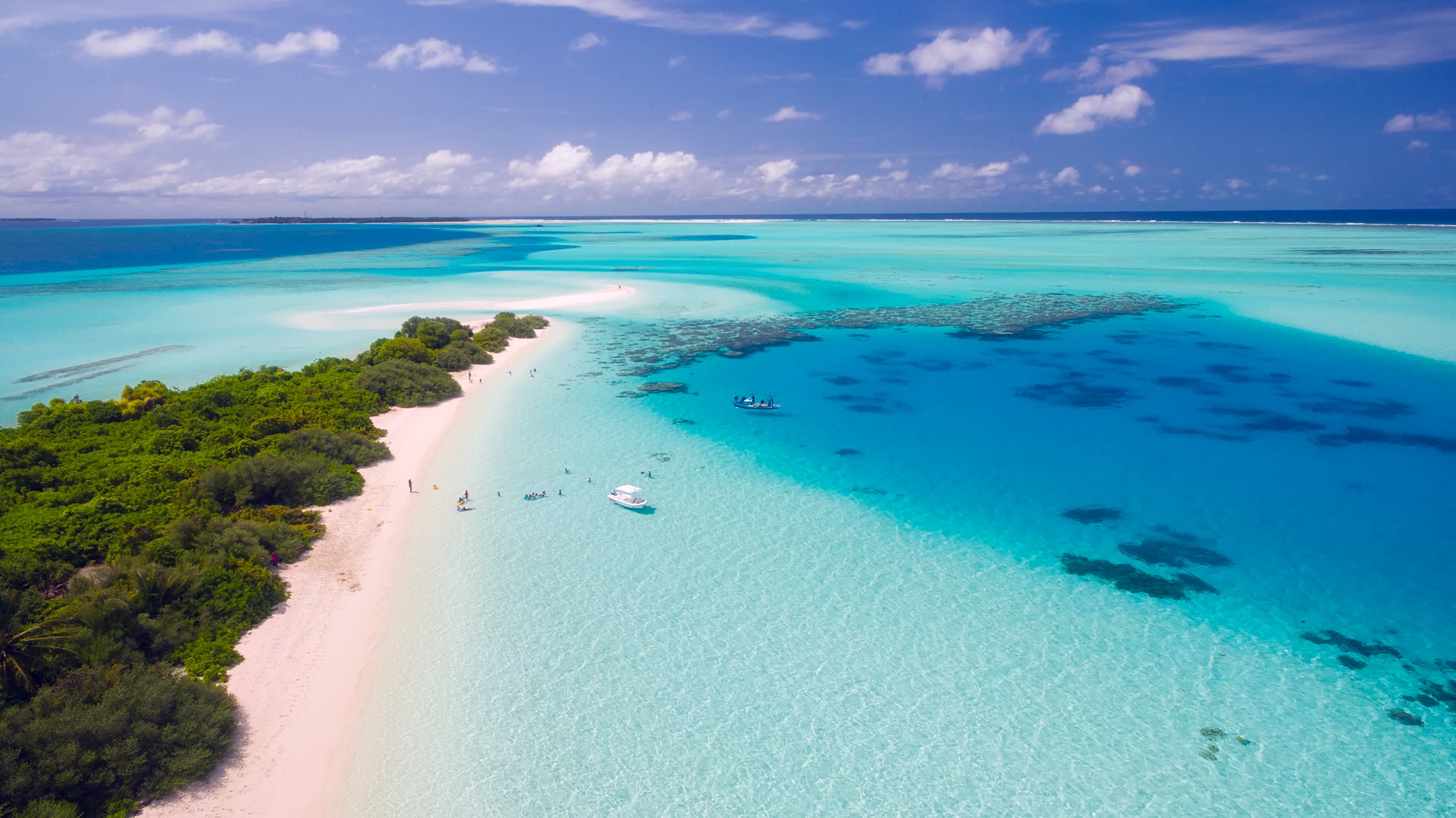 Maldives Tropical Paradise Beach and Clear Water HD Wallpaper