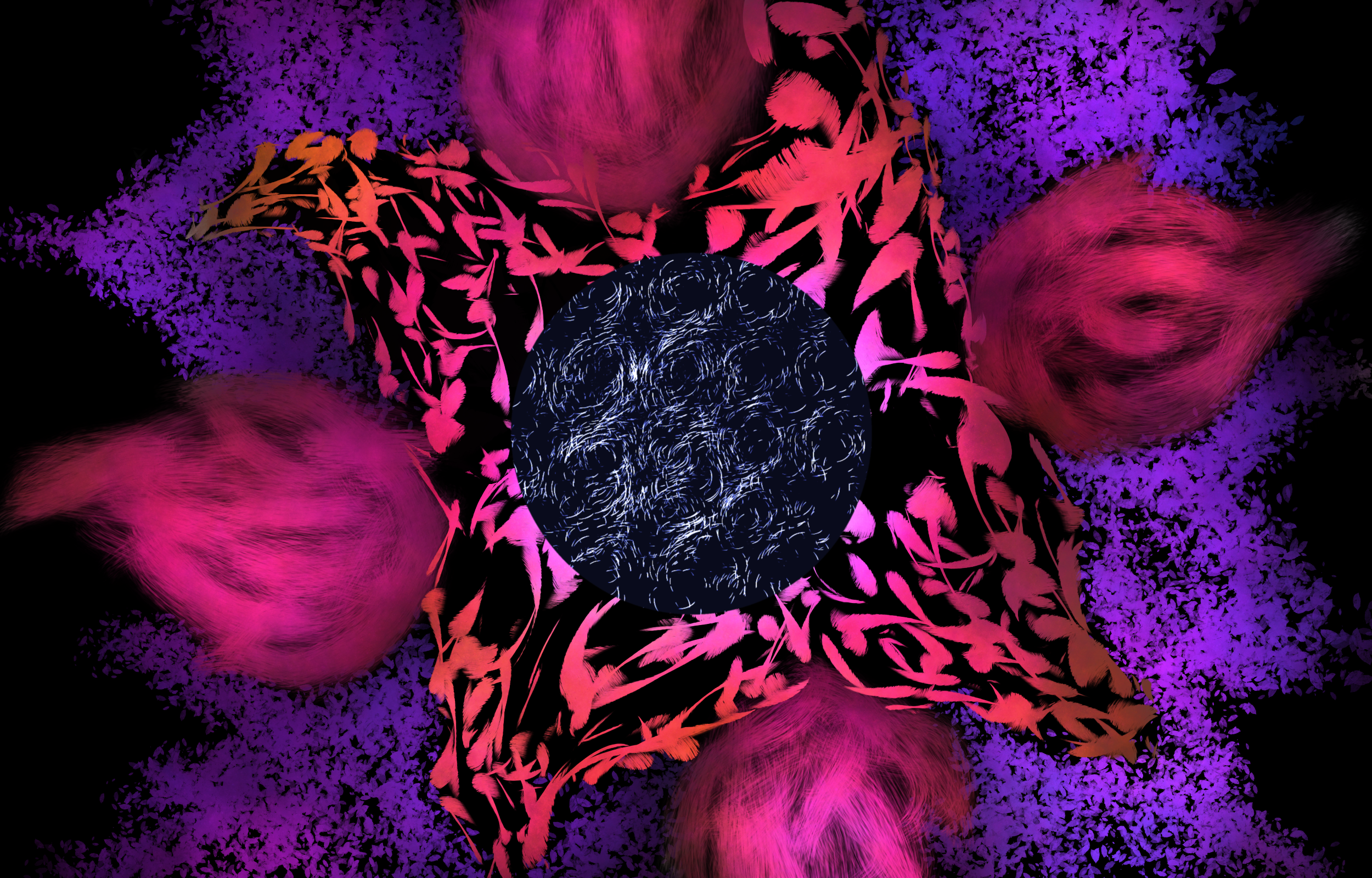 The Rarest Flower: Vibrant Star with Fluffy Pink Petals HD Wallpaper