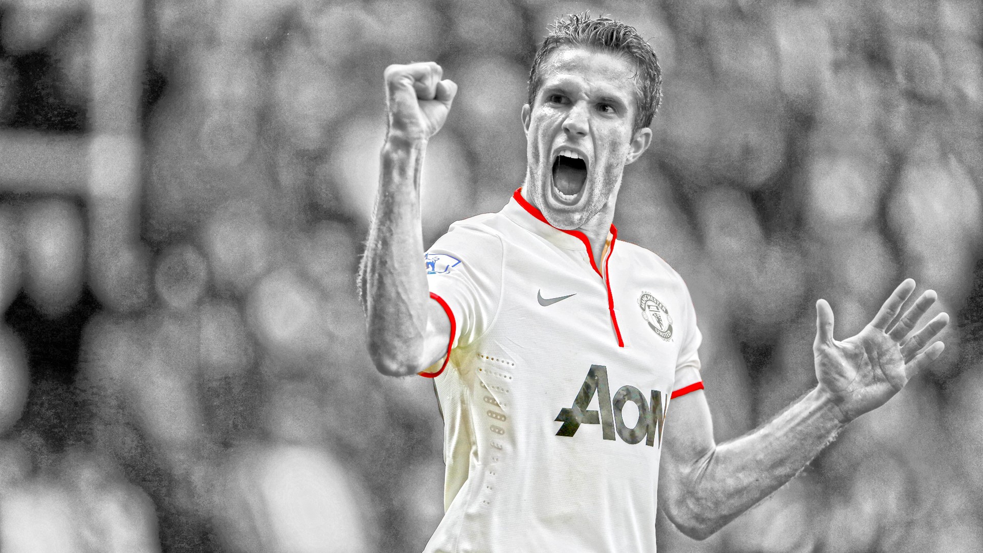 Robin Van Persie celebrates for Manchester United HD Wallpaper