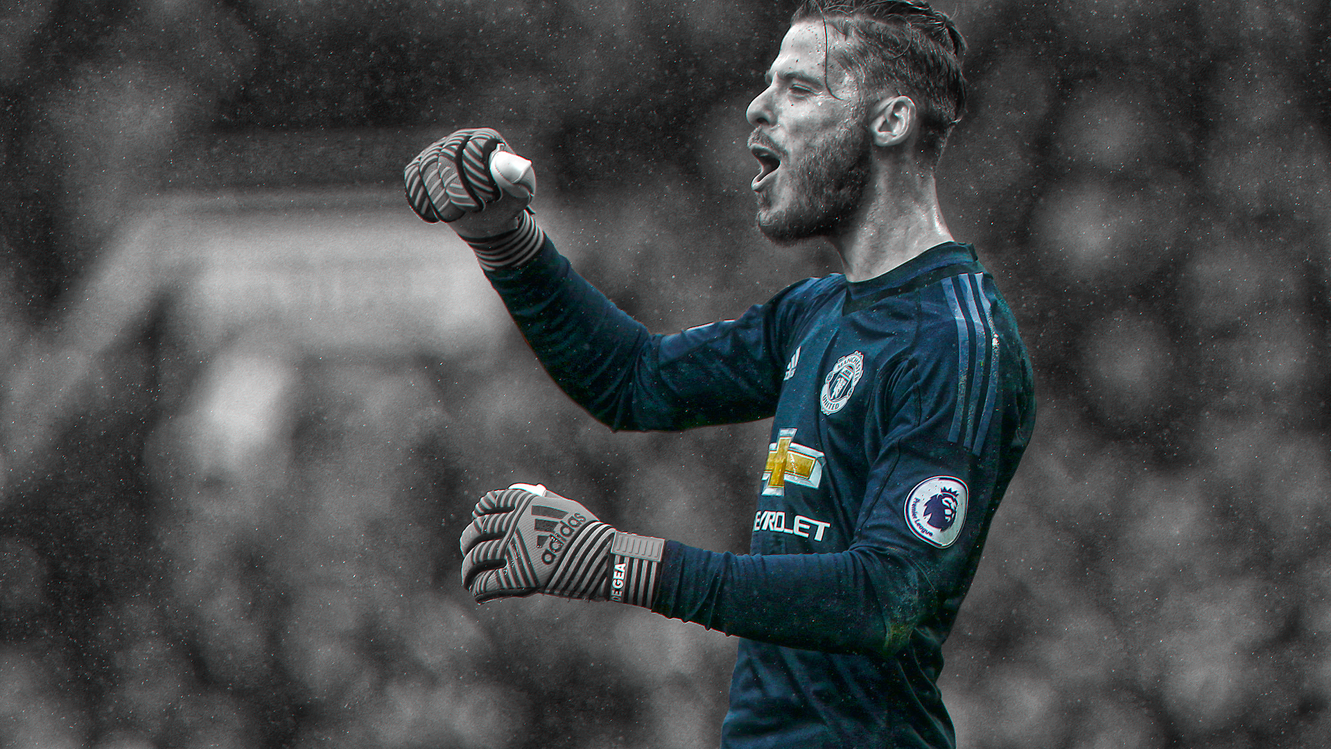 Manchester United's David De Gea celebrating in rain HD Wallpaper