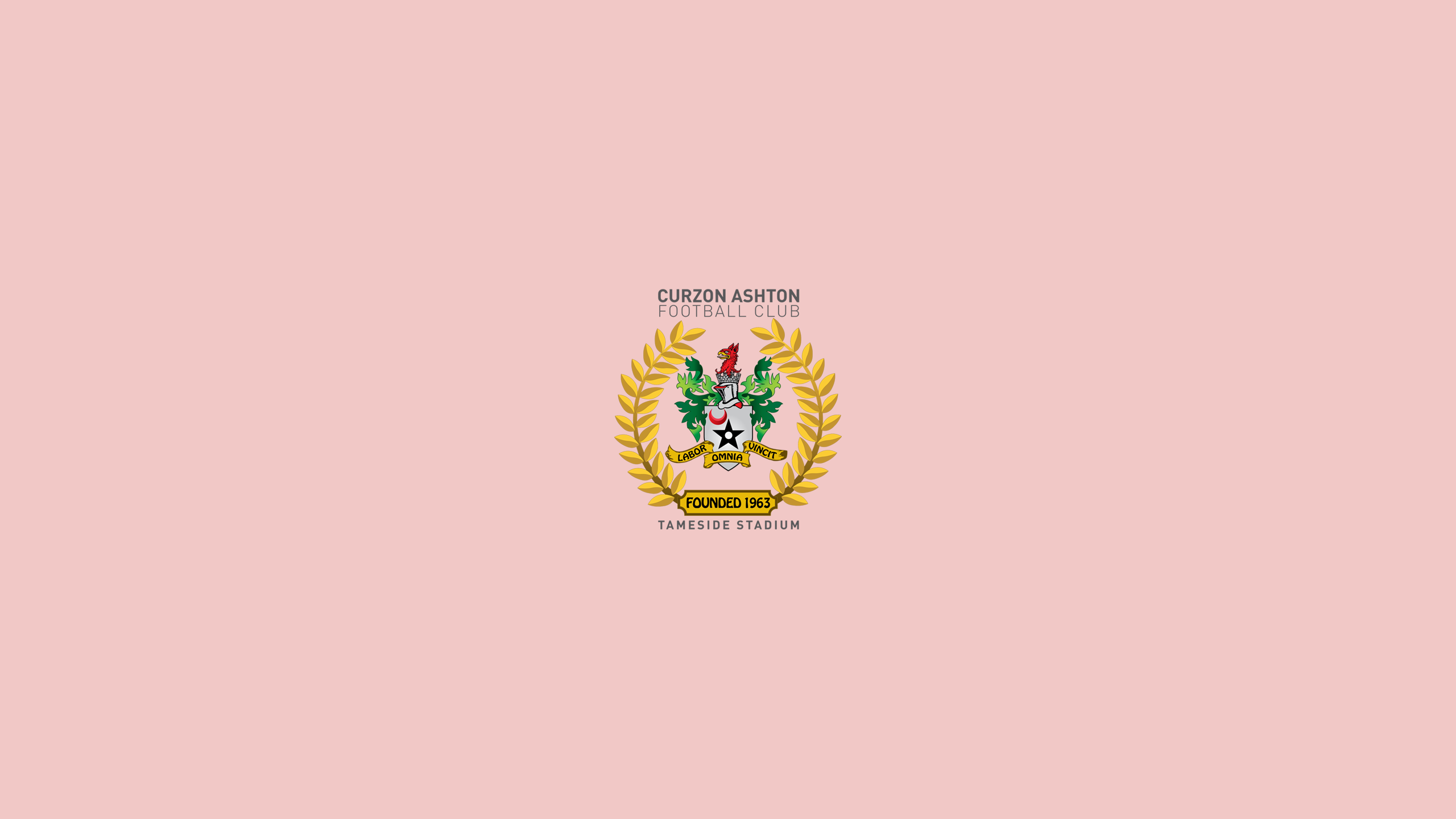 Curzon Ashton F.C. Logo on Pink HD Wallpaper
