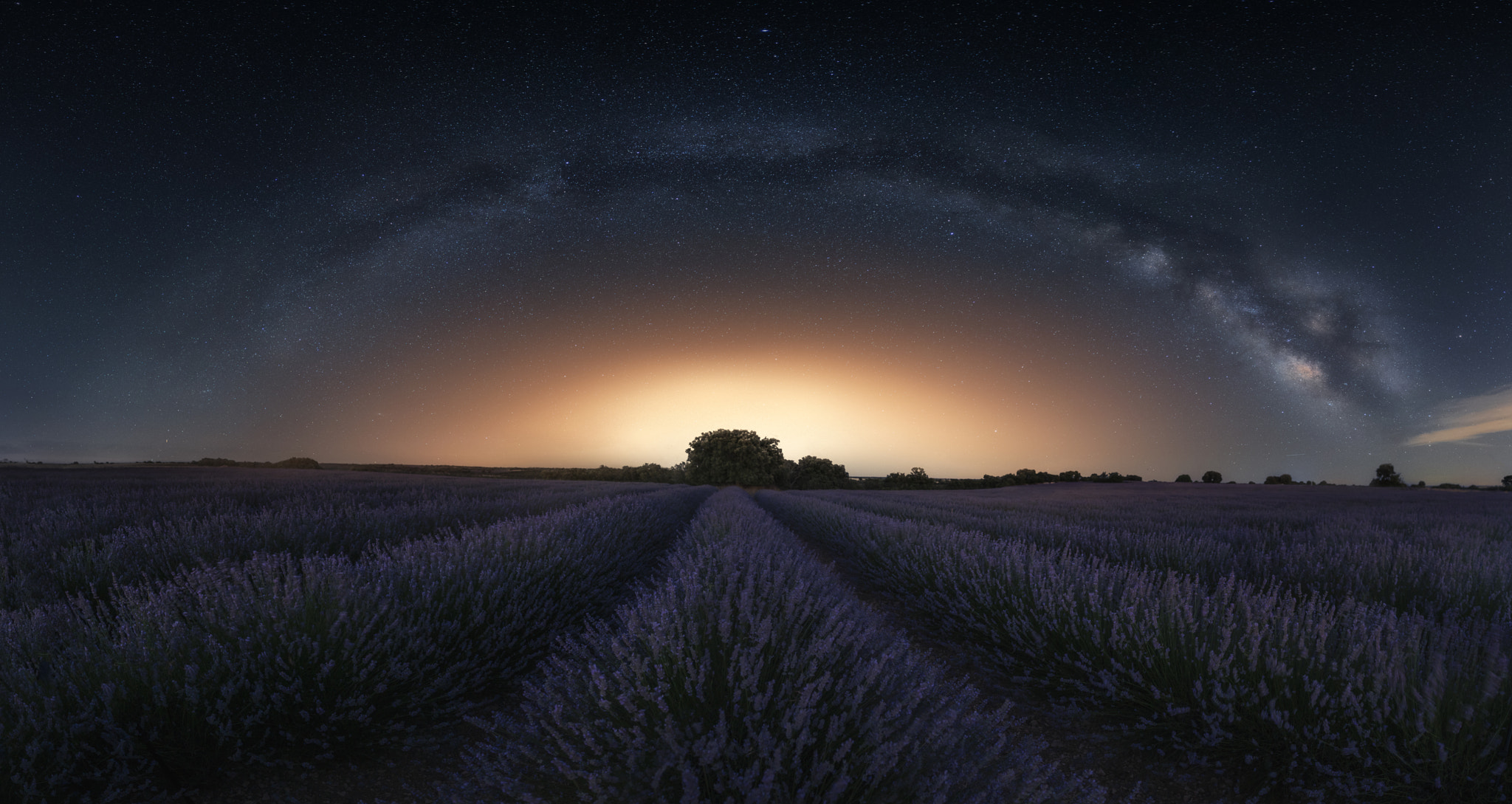 Milky Way and Sunset Glow over Lavender Field HD Wallpaper