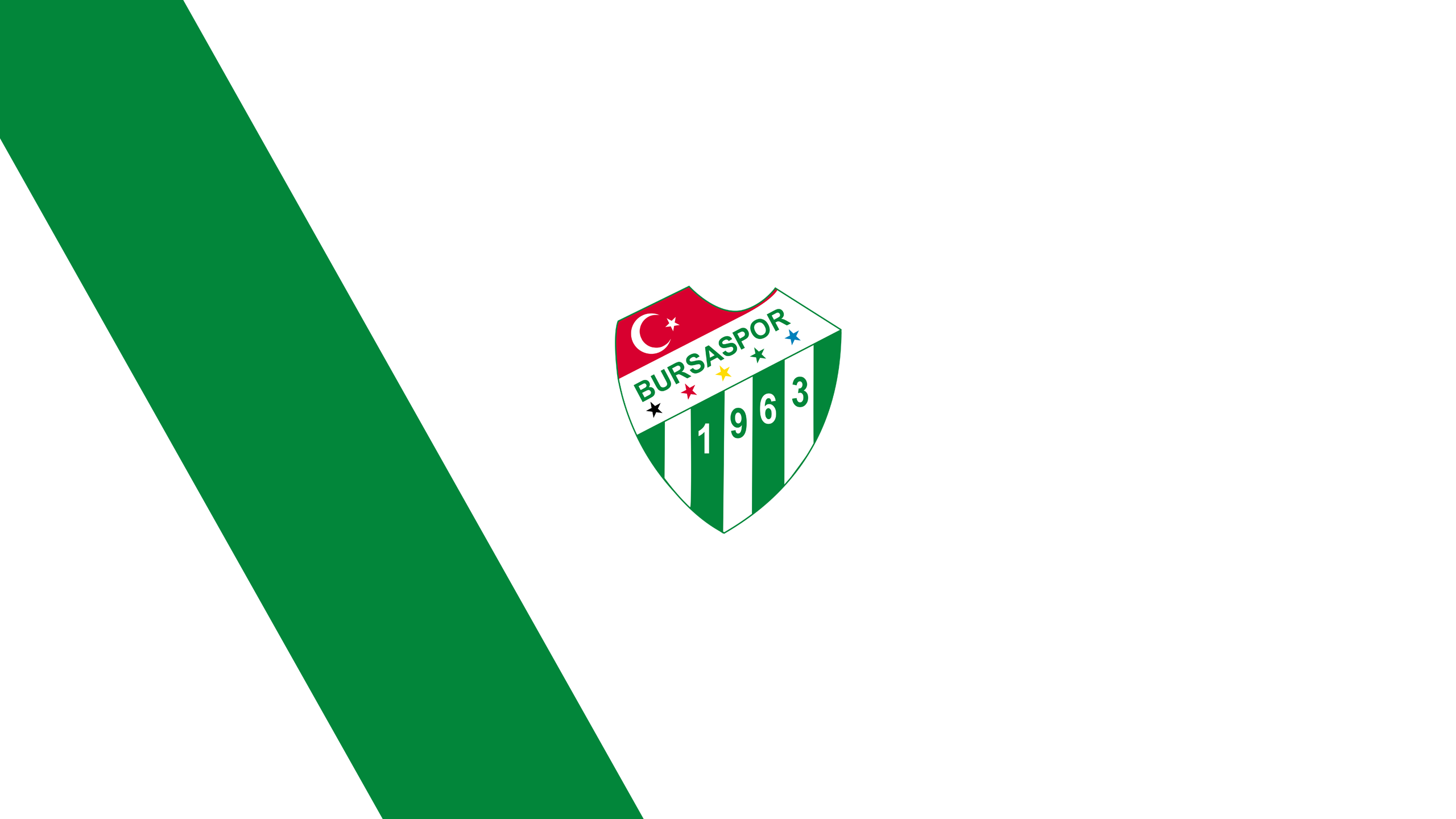 Bursaspor soccer logo on white and green HD Wallpaper