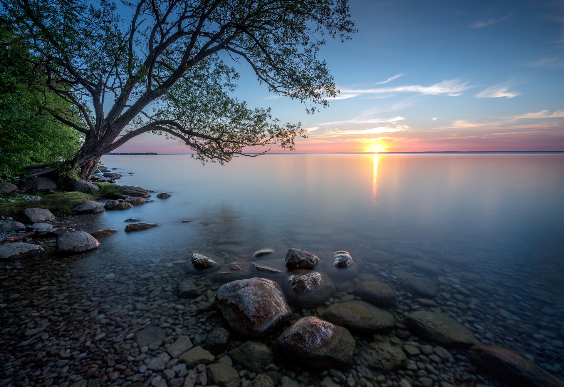 Golden sunset reflection on tranquil water with a tree HD Wallpaper