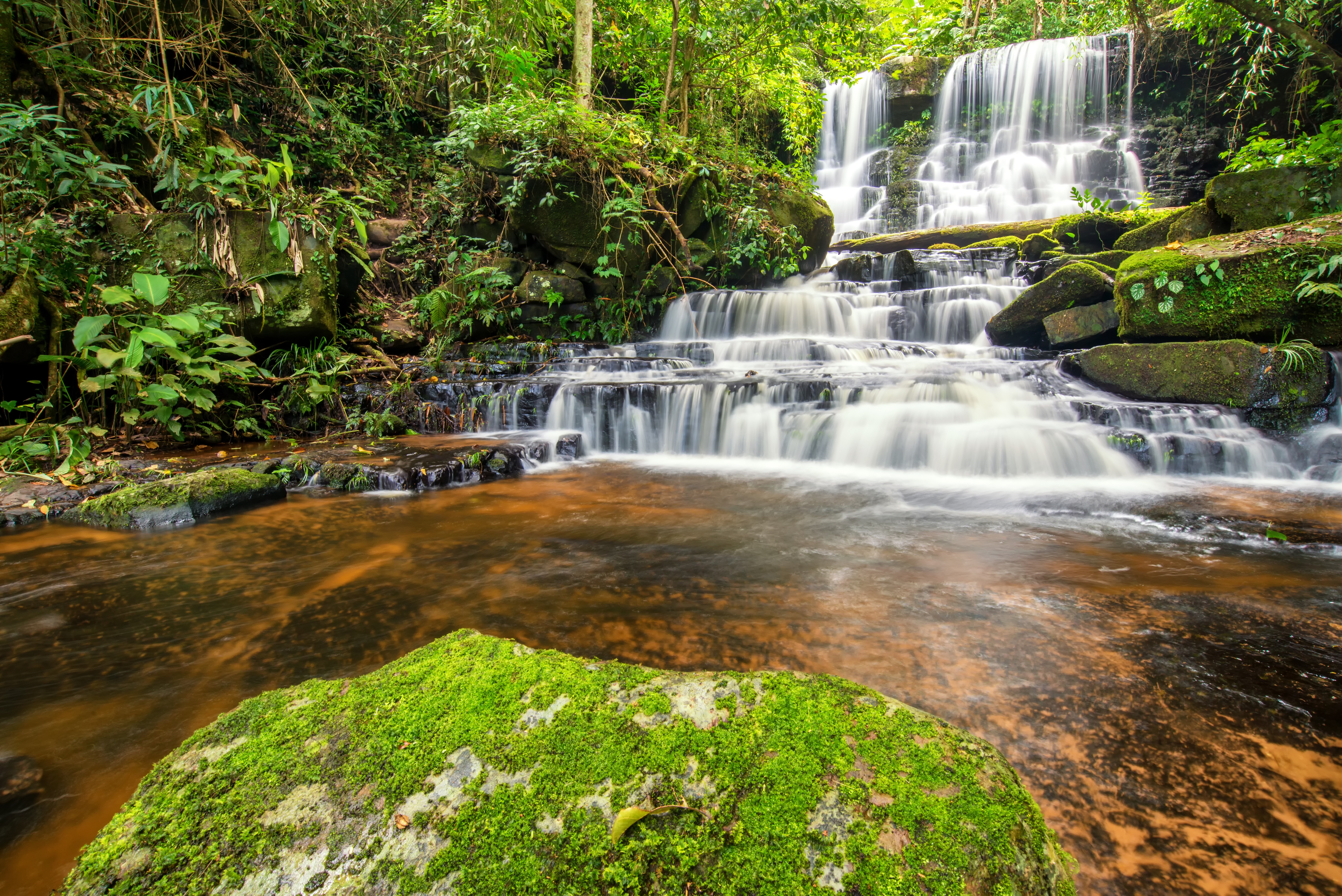 Lush Forest Waterfall 4K HD Wallpaper