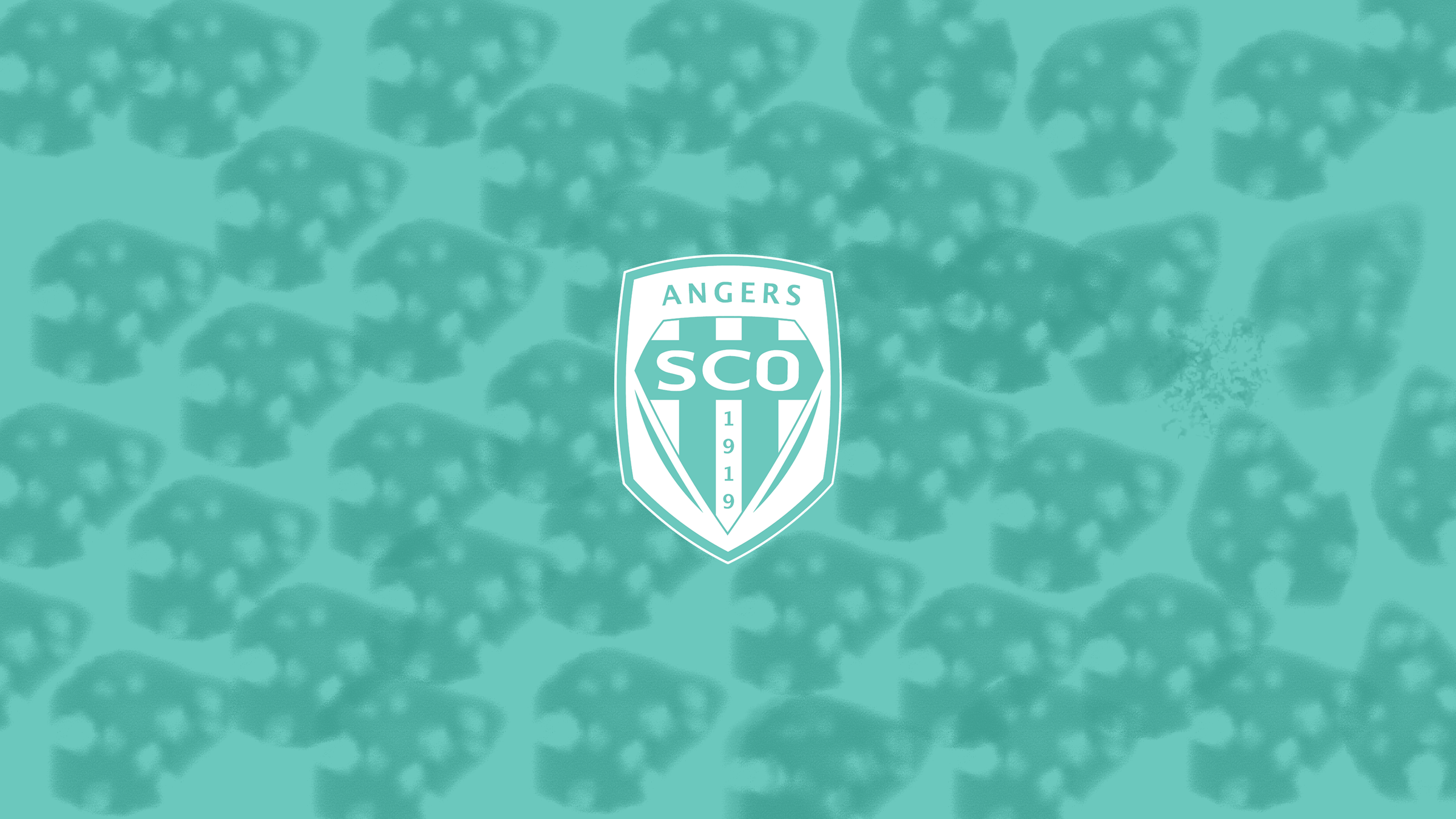 Angers SCO Soccer Logo on Teal Pattern HD Wallpaper